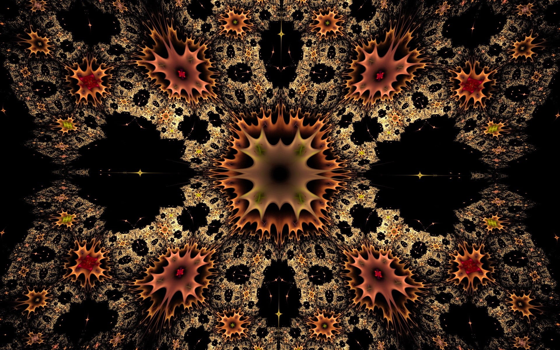 beauty in nature, symmetry, vulnerability, patterns, flower head, black, cell, 1080P, brown, geometric Shape, kaleidoscope, black Color, growth, ceiling, HD Wallpaper
