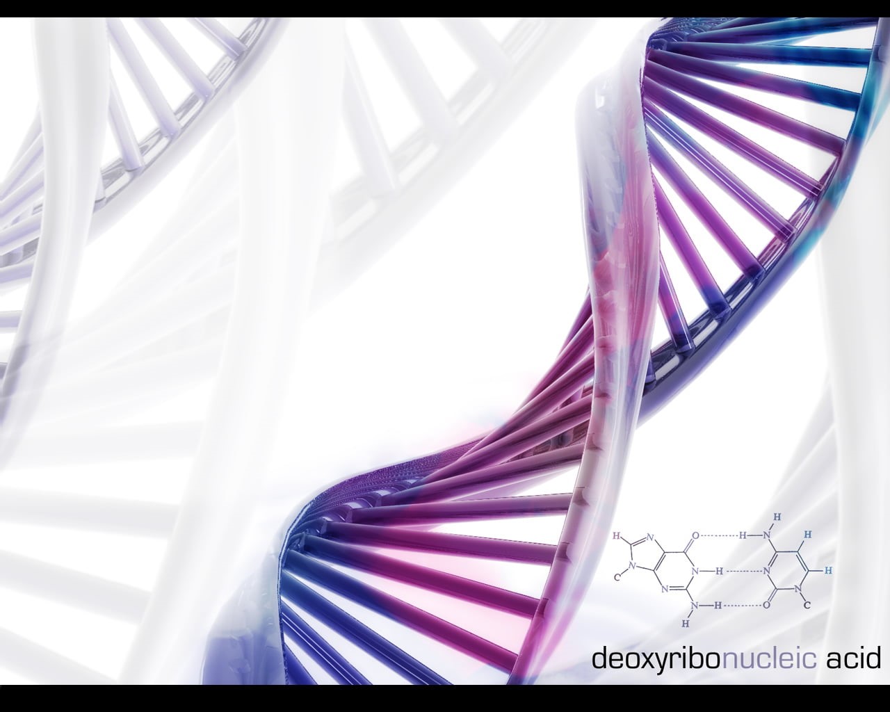 genetic Research, evolution, data, day, no people, backgrounds, connection, blue, white, business, table, studio shot, shape, transfer print, auto post production filter, HD Wallpaper
