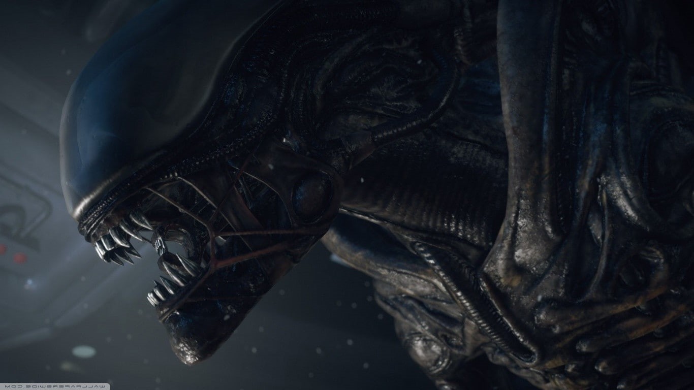 Alien (movie), animal themes, outdoors, animal, animal wildlife, H. R. Giger, 720P, animals in the wild, swimming, marine, turtle, animal head, underwater, HD Wallpaper