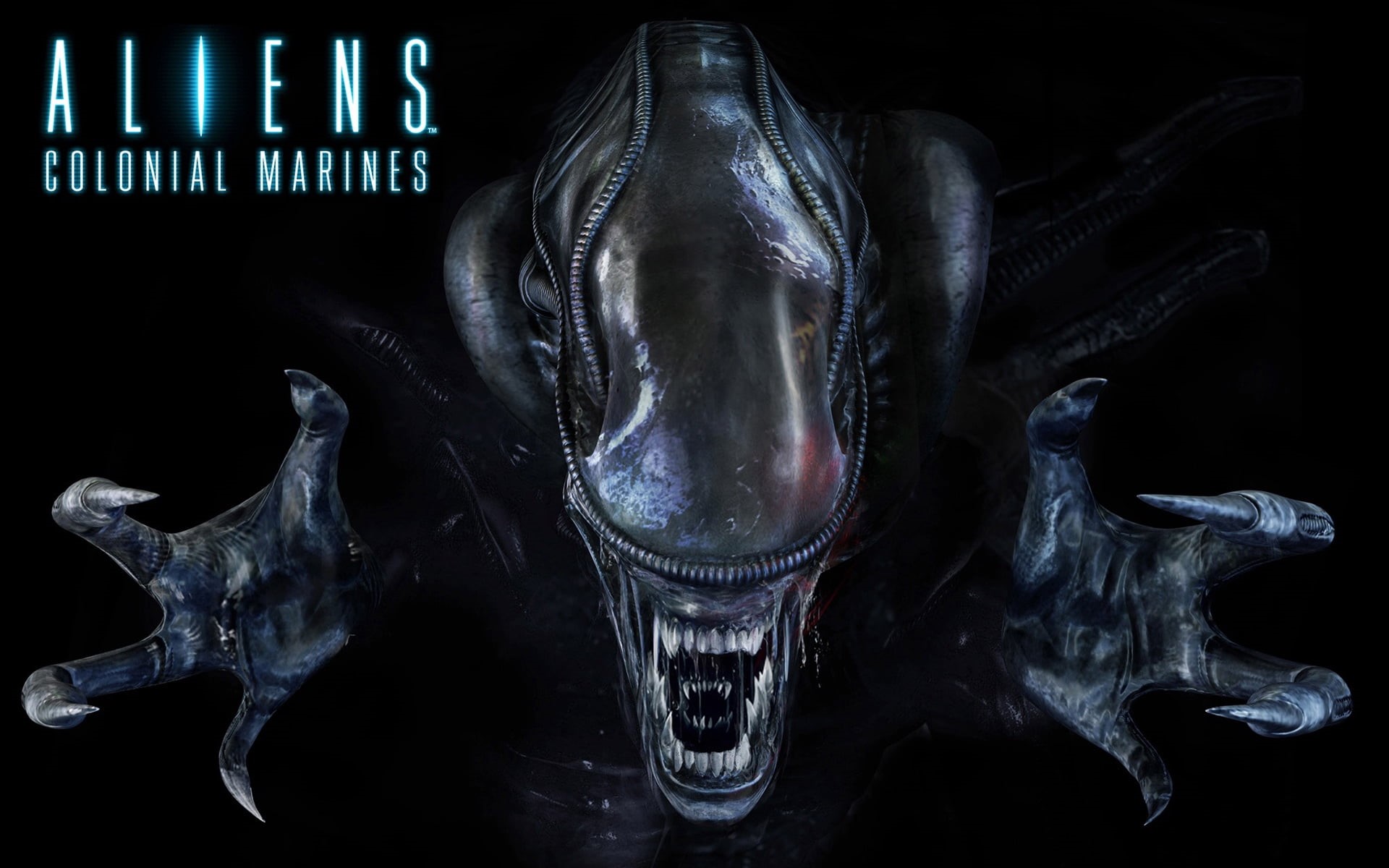 blue, no people, colonial, alien, close-up, aliens, illustration, marines, spooky, anatomy, biology, science, black background, human Skeleton, number, HD Wallpaper