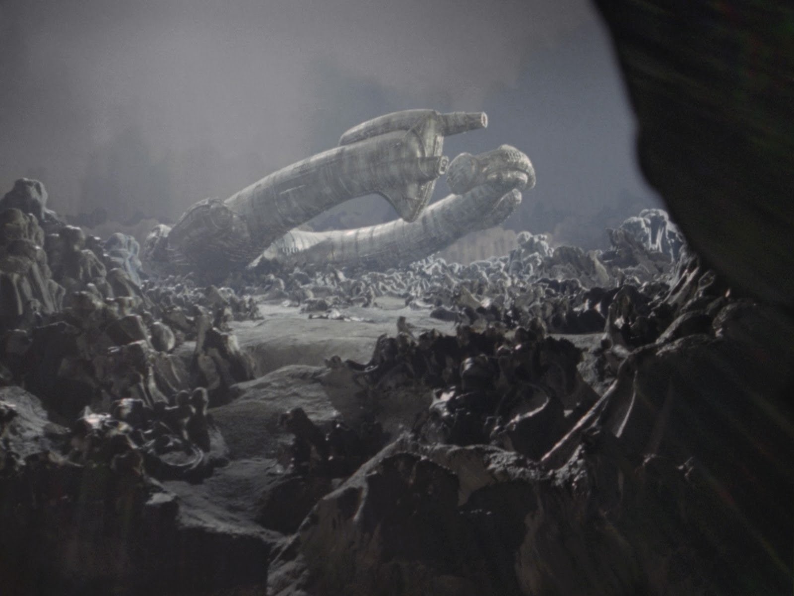 Xenomorph, art, solid, horror, fi, land, landscape, no people, animal wildlife, nature, Evil, r, h, artistic, artwork, travel, outdoors, rock - object, HD Wallpaper