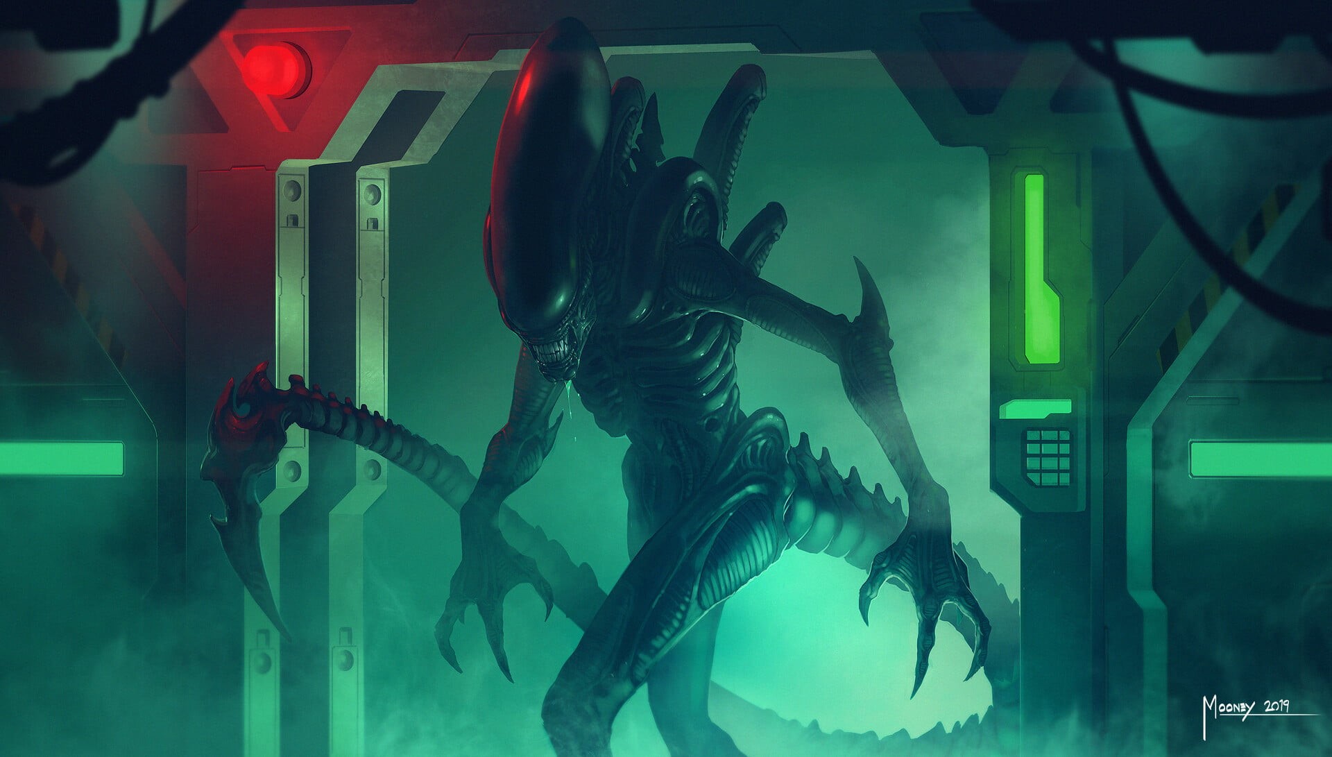 1080P, Xenomorph, Alien, HD Wallpaper
