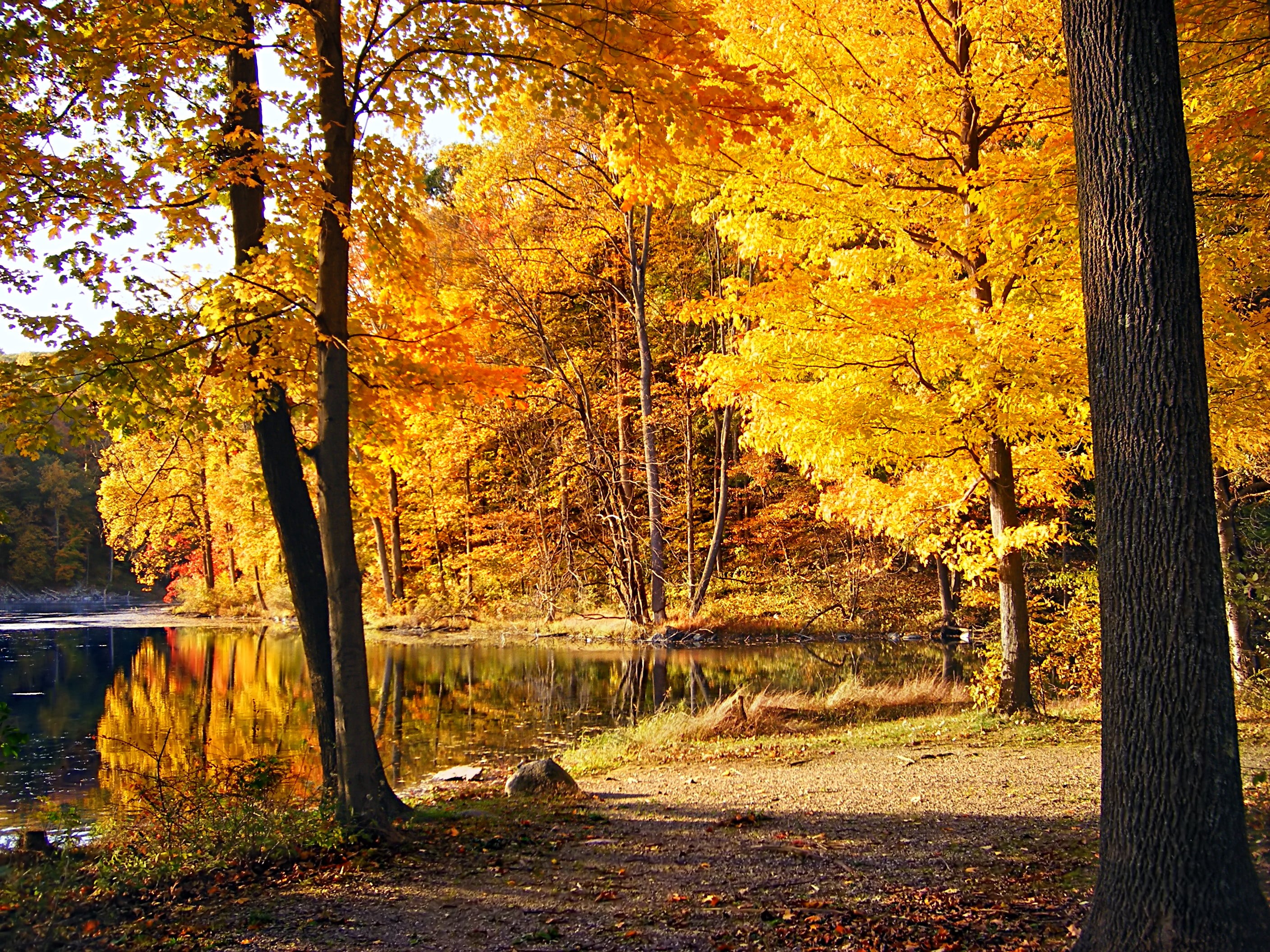 Ghost Lake, New Jersey, water, rural, park - Man Made Space, outdoors, foliage, deciduous, 2K, body, Jenny Jump Mountain, landscape, creative commons, HD Wallpaper