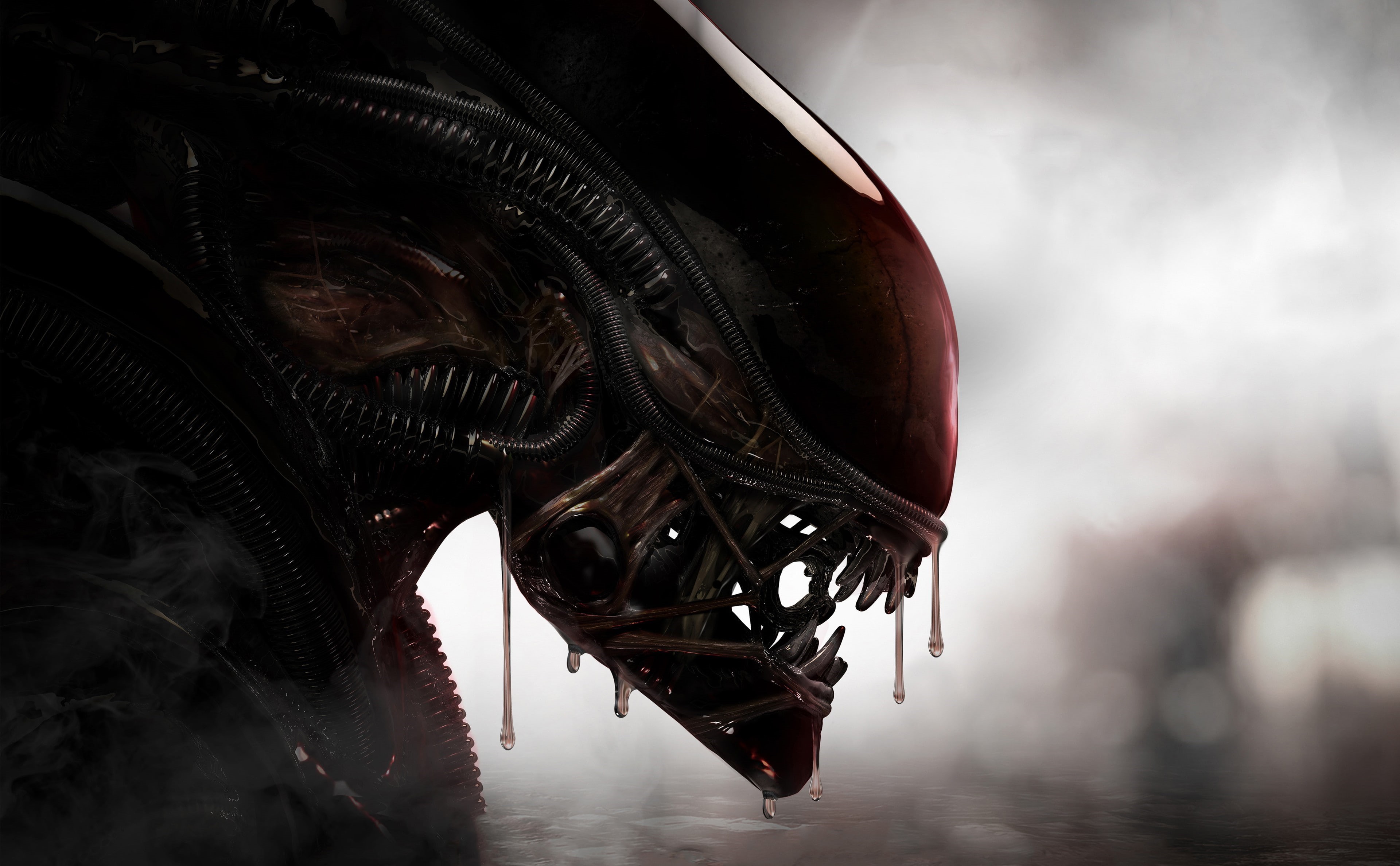 creature, Xenomorph, aliens, 4K, HD Wallpaper