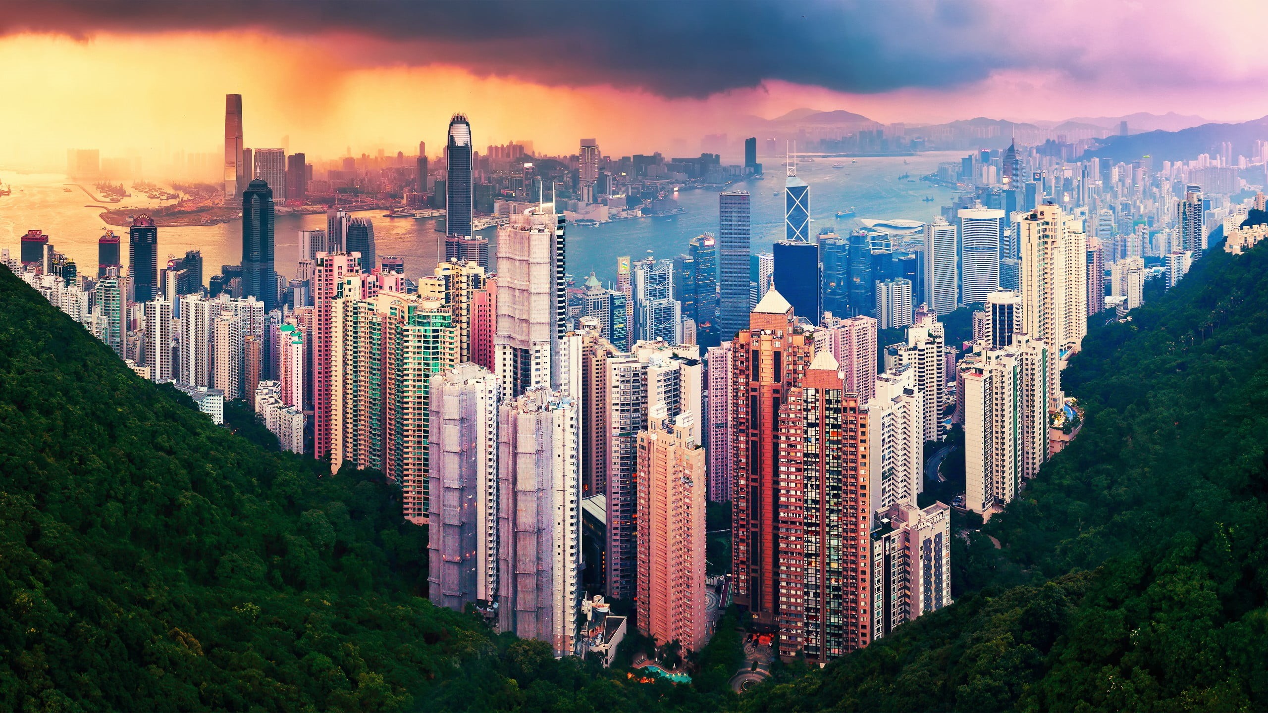 office building exterior, buildings, tower, skyscraper, rise, city, apartment, 2K, crowd, cityscape, nature, architecture, landscape, high, outdoors, tall - high, HD Wallpaper