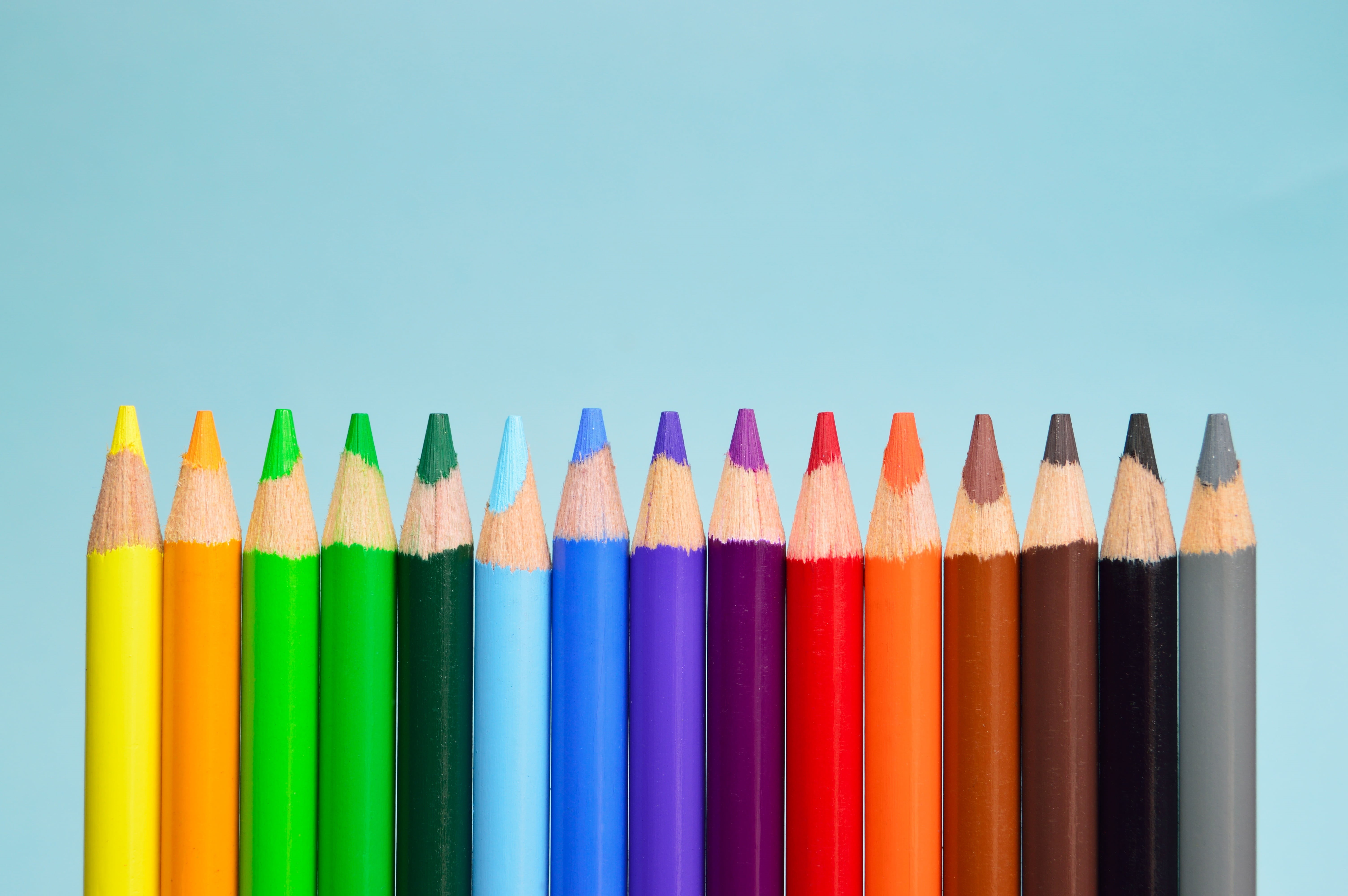 rosa, choice, group, education, color, multi colored, palette, art and craft equipment, pencil, studio shot, spectrum, close-up, wood, rainbow, variation, HD Wallpaper