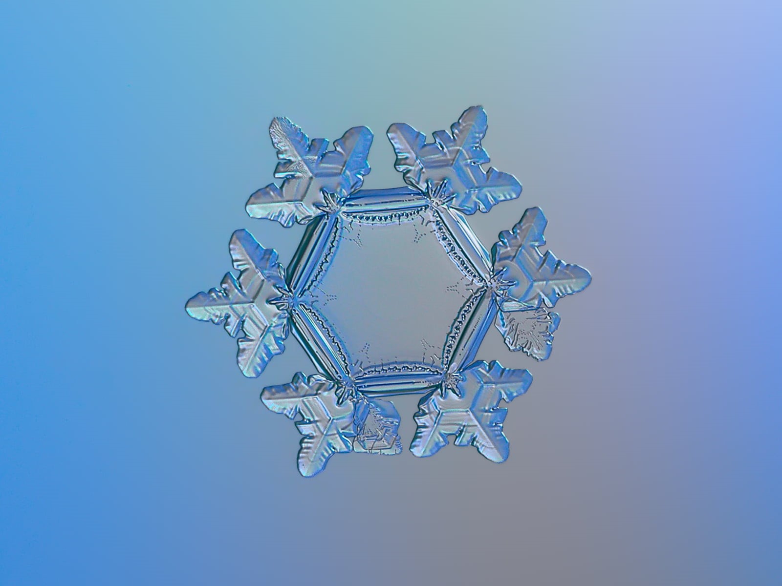 decorated, blue, details, unique, sparkle, photography, outdoor, season, background, beauty, decoration, fine, decor, snow, pattern, isolated, crystalline, HD Wallpaper