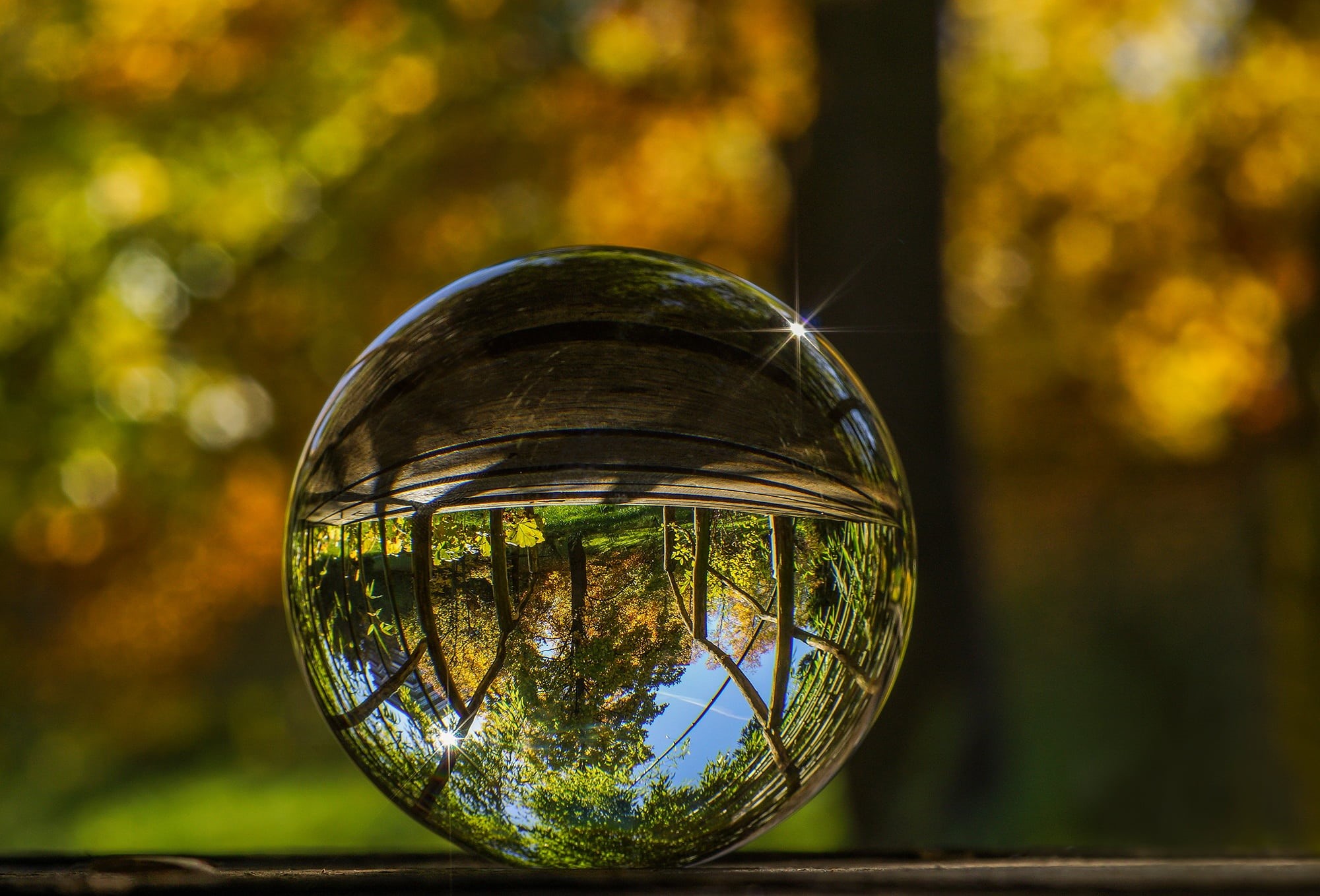 transparent, landscape, color, nature, bamboo forest, yellow, ball photo, orange, refraction, clear, paper, mirroring, green, bamboo, reflection, geometric shape, HD Wallpaper