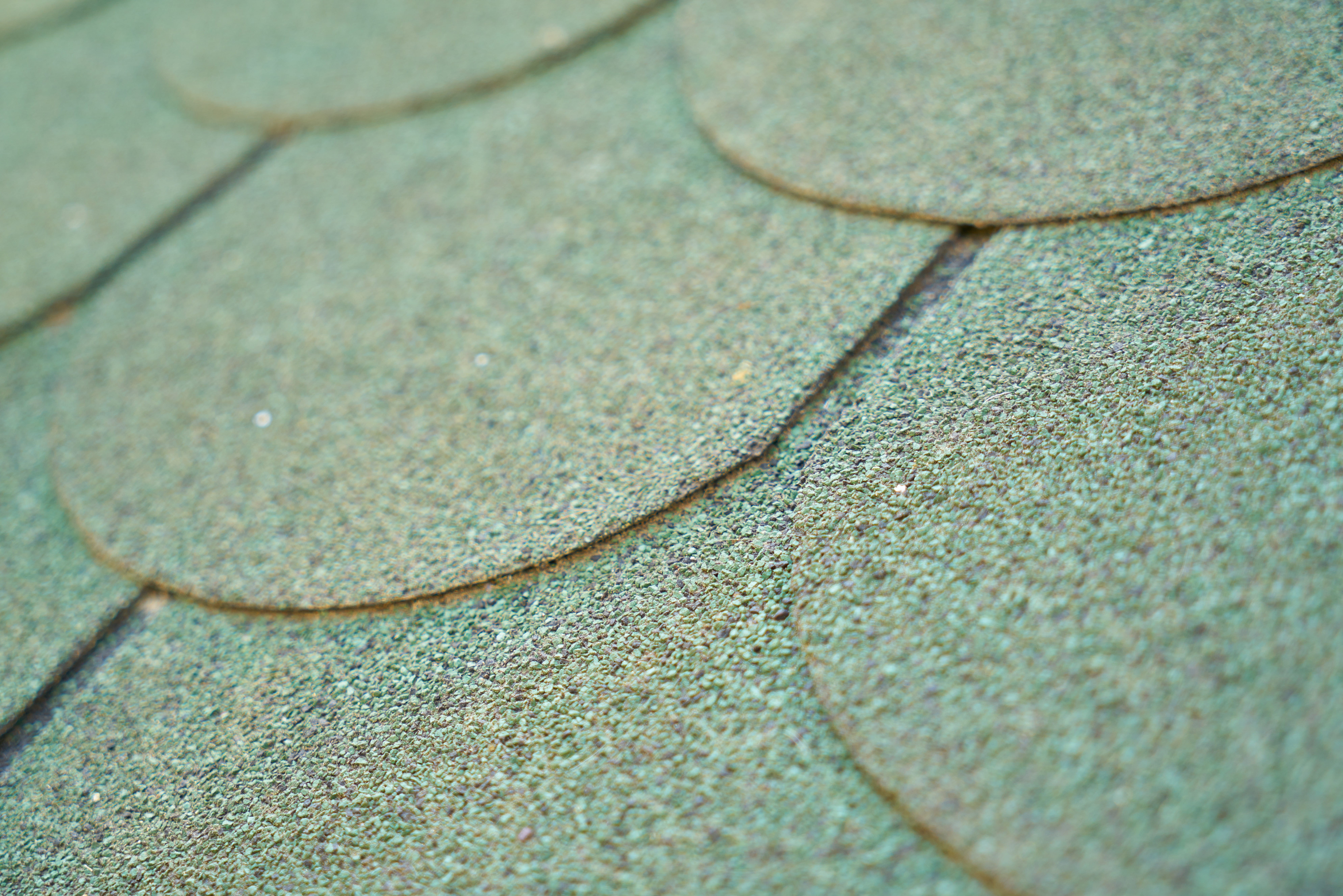 decoration, abstract pattern, macro, protection, close-up, building, magnification, selective focus, dry, detail, pattern, wet, horizontal, copy space, HD Wallpaper