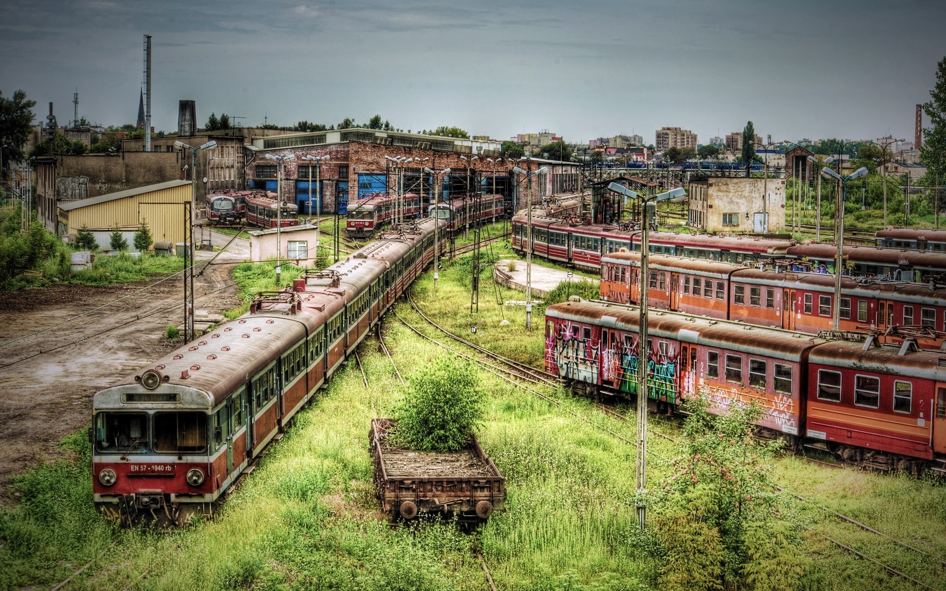 brown, Overgrown, train, 1080P, Weeds, Subway, Trains, Cars, Abandoned, red, HD Wallpaper
