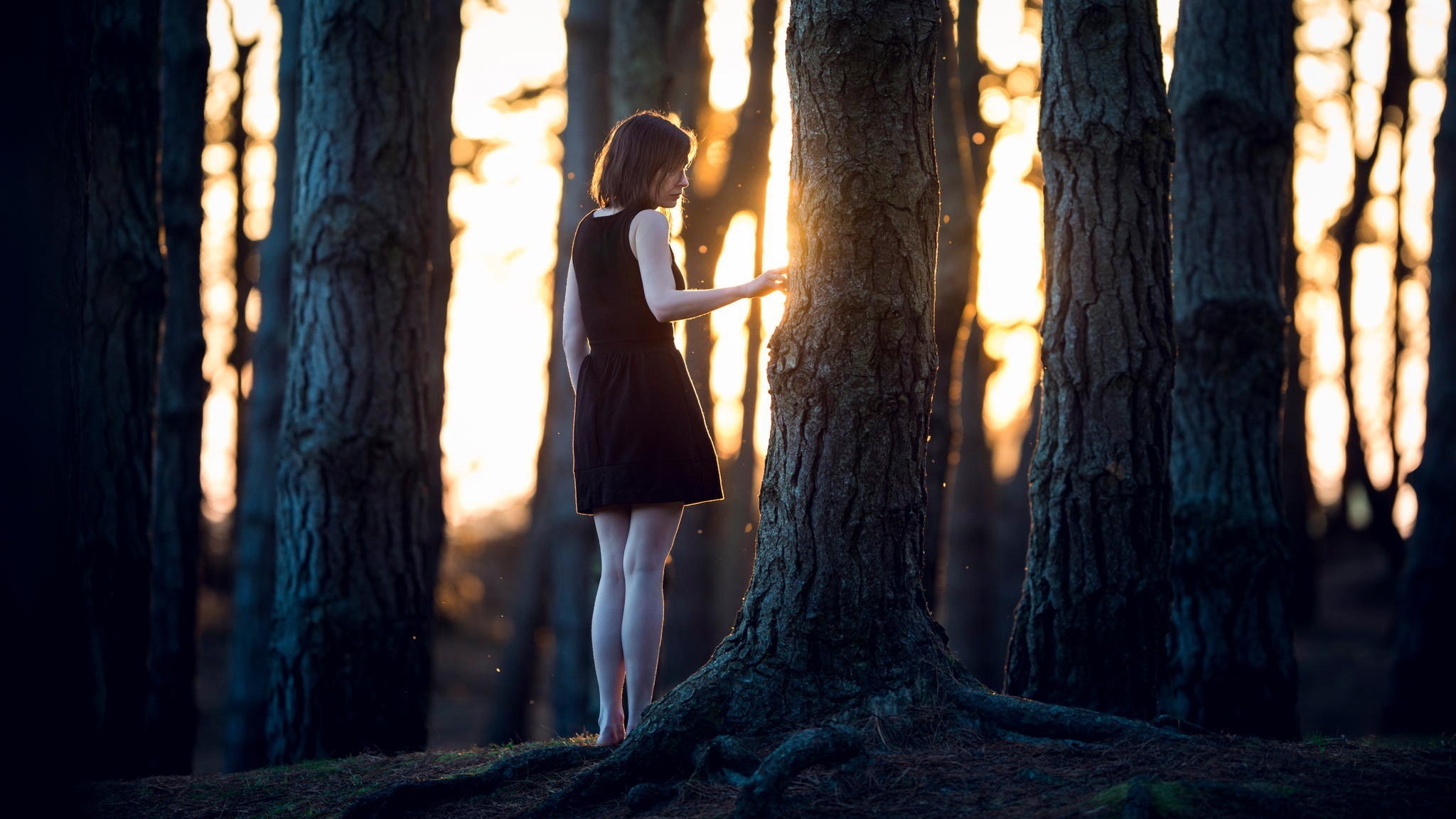 1080P, fashion, hairstyle, trees, beautiful woman, women outdoors, adult, dress, forest, woodland, outdoors, young adult, barefoot, one person, tree trunk, HD Wallpaper