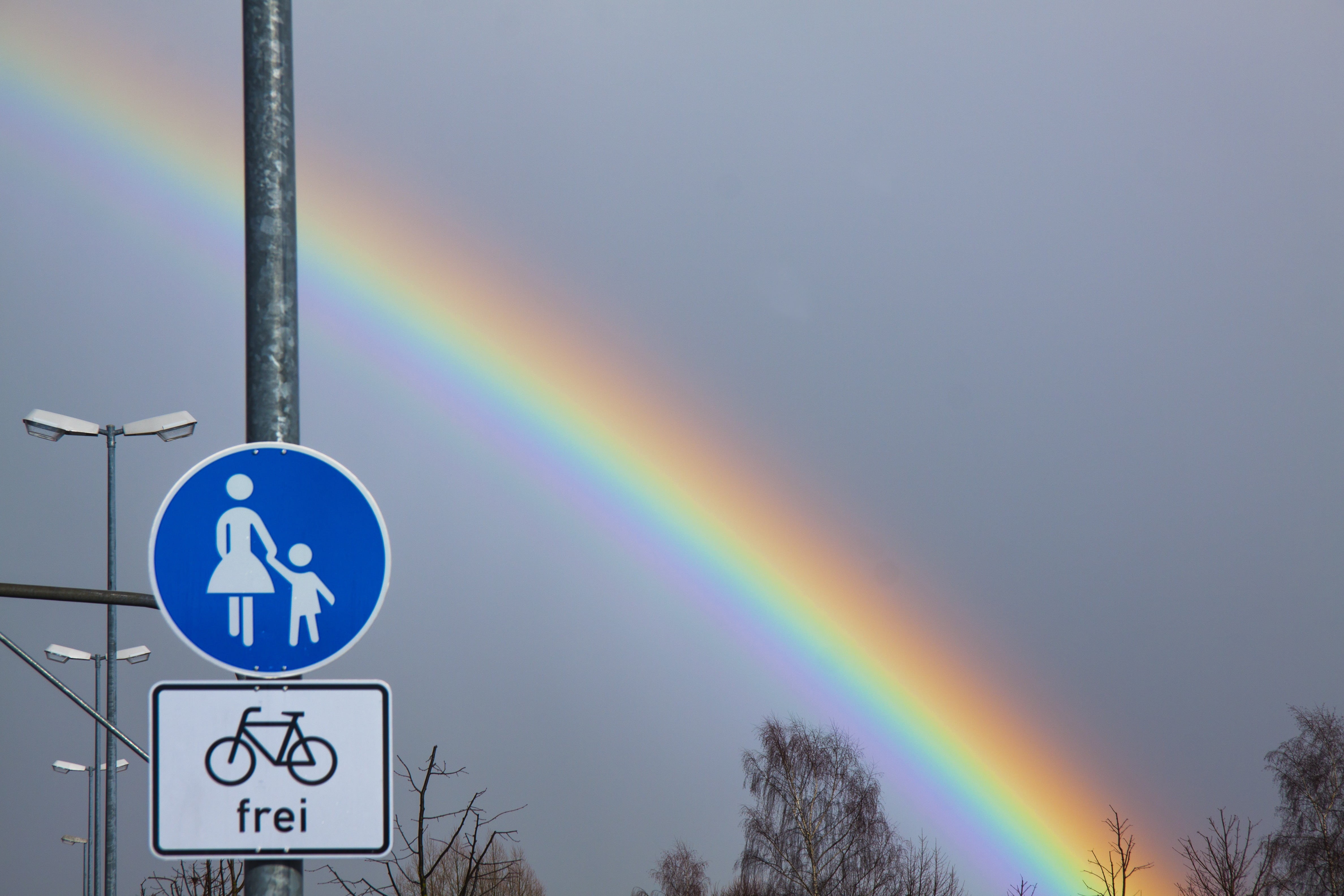 bicycle, light poles, radial farbverlauf, message, atmospheric optical phenomena, road, outdoors, guidance, tree, 4K, beauty in nature, communication, HD Wallpaper