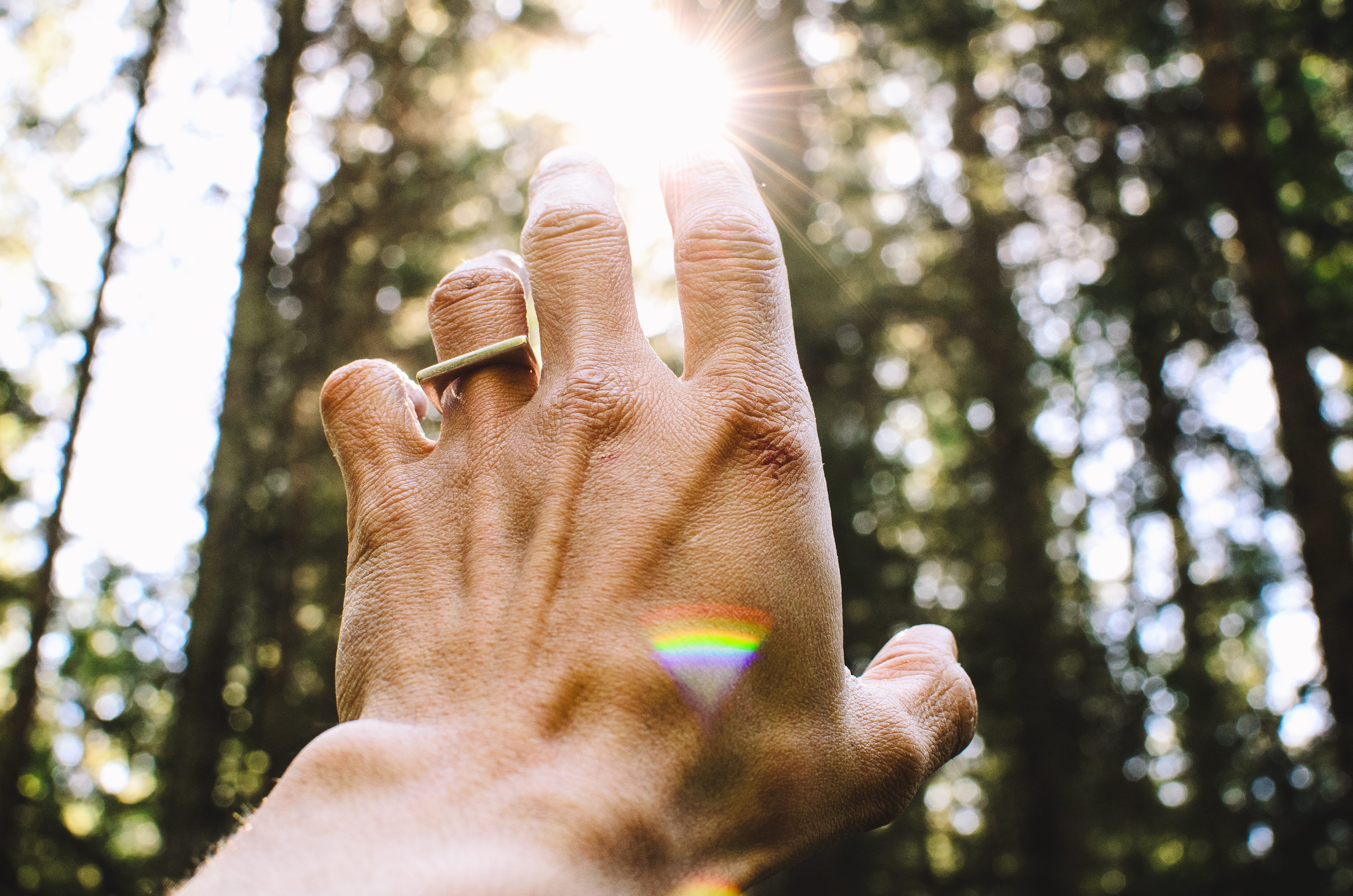caucasian Ethnicity, prism, lifestyles, hand, tree, land, people, lens flare, person, s, men, one man only, human Hand, reaching out, forest, plant, sun, HD Wallpaper