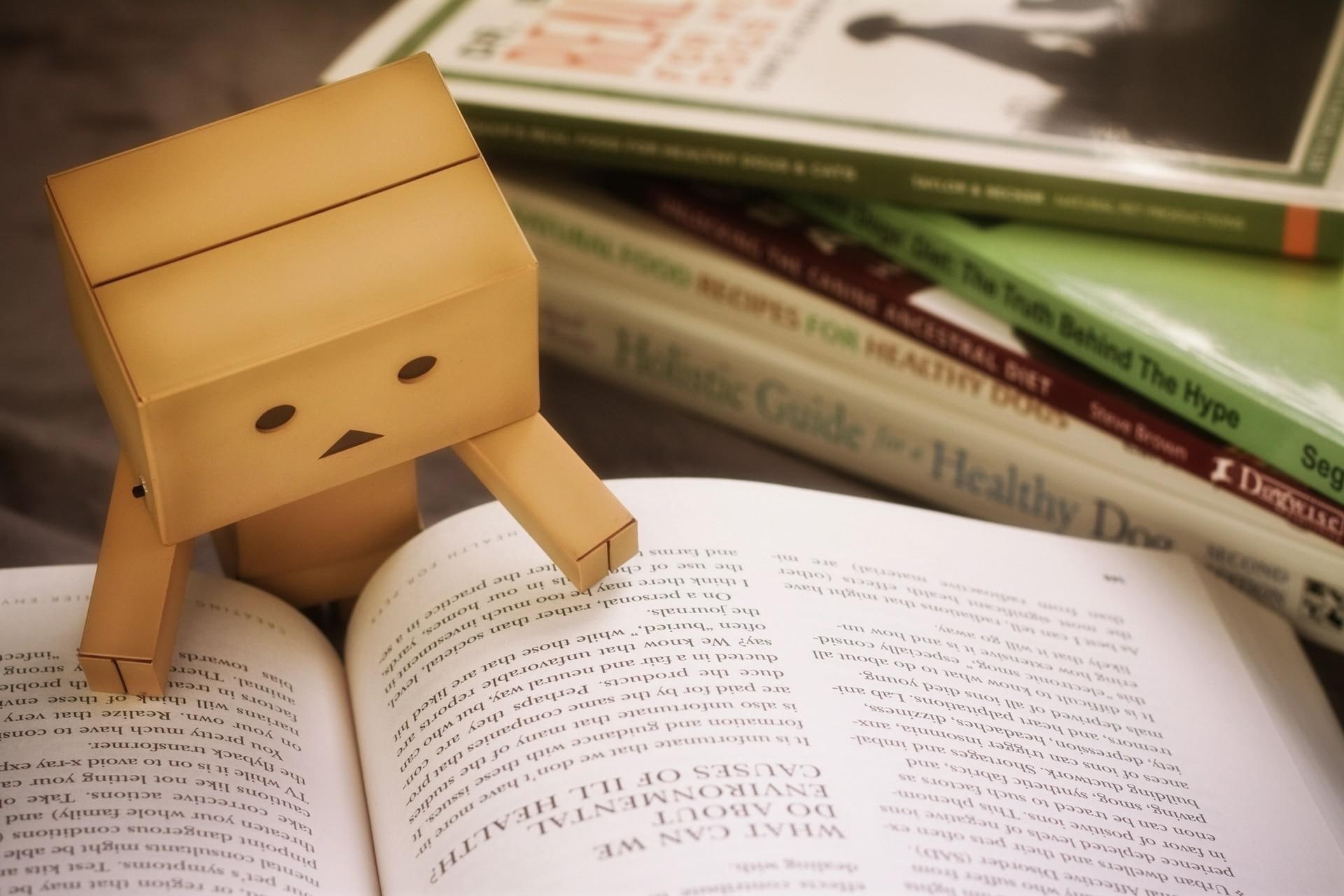 danbo, robot, reading, book, cardboard, 1080P, cardboard robot, HD Wallpaper