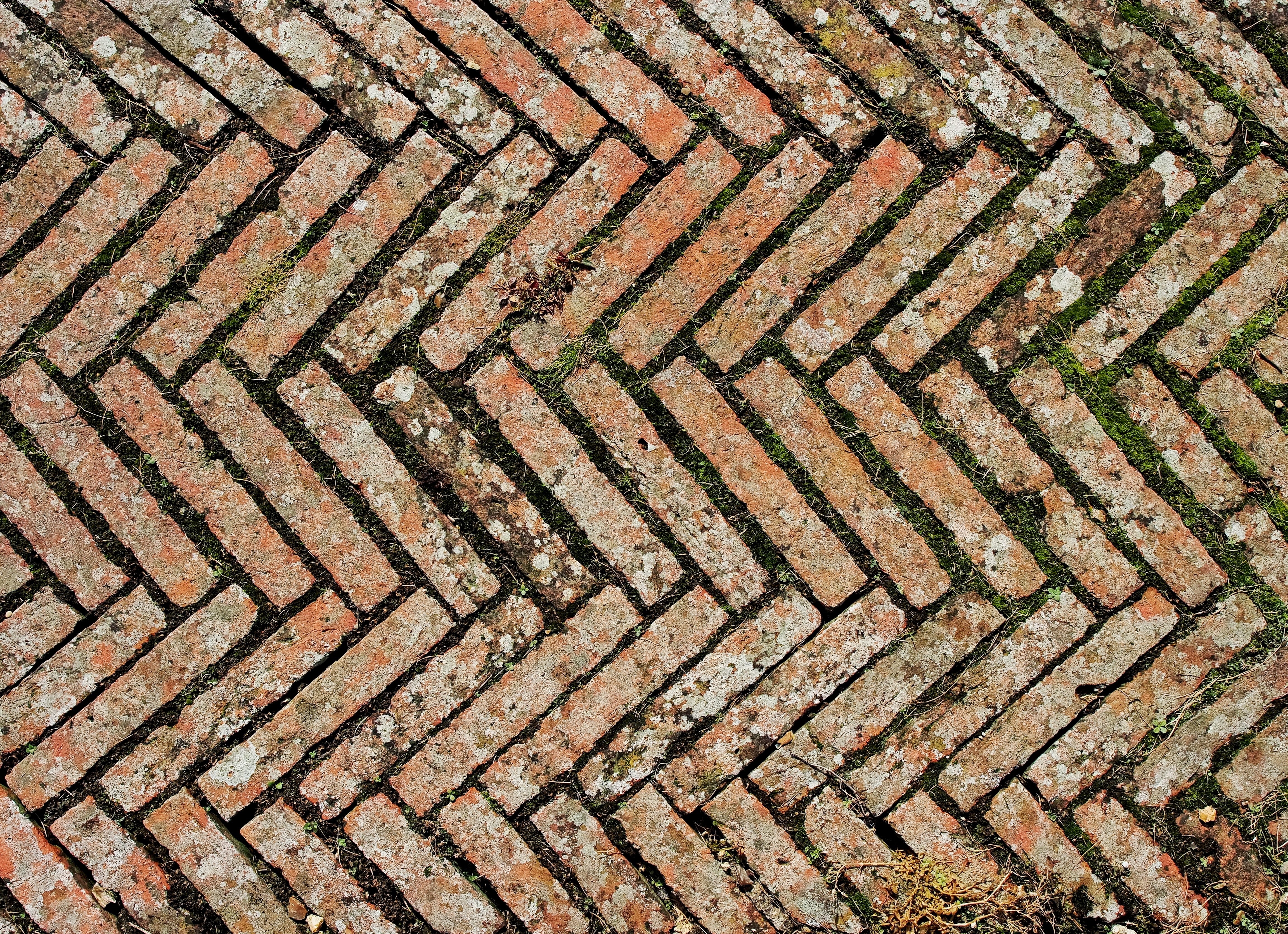 day, close-up, old, textured, high angle view, close, interlock, tessellation, photography, full frame, wall - building feature, weathered, rusty, tiling, HD Wallpaper