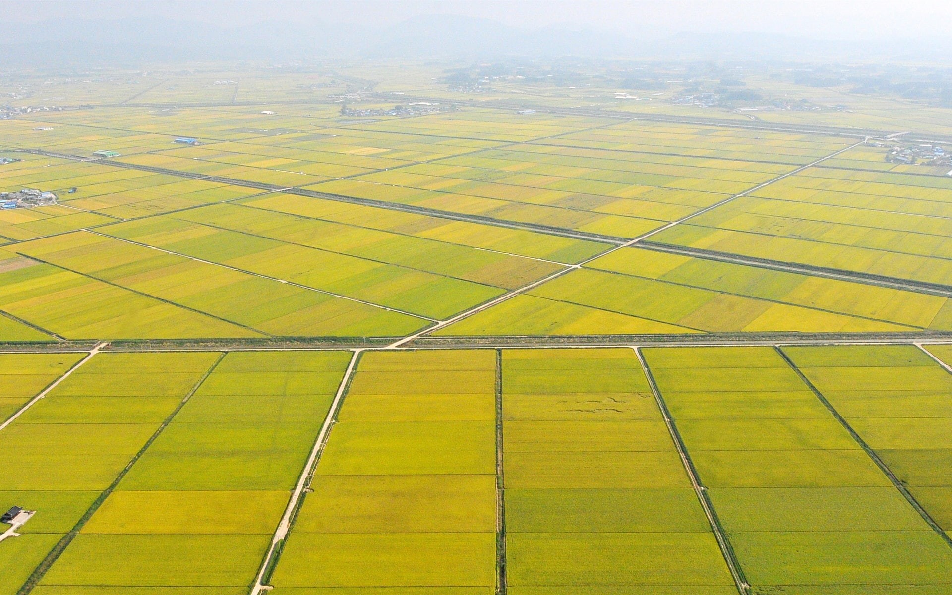 1080P, Fields, Beautiful, Rural, HD Wallpaper
