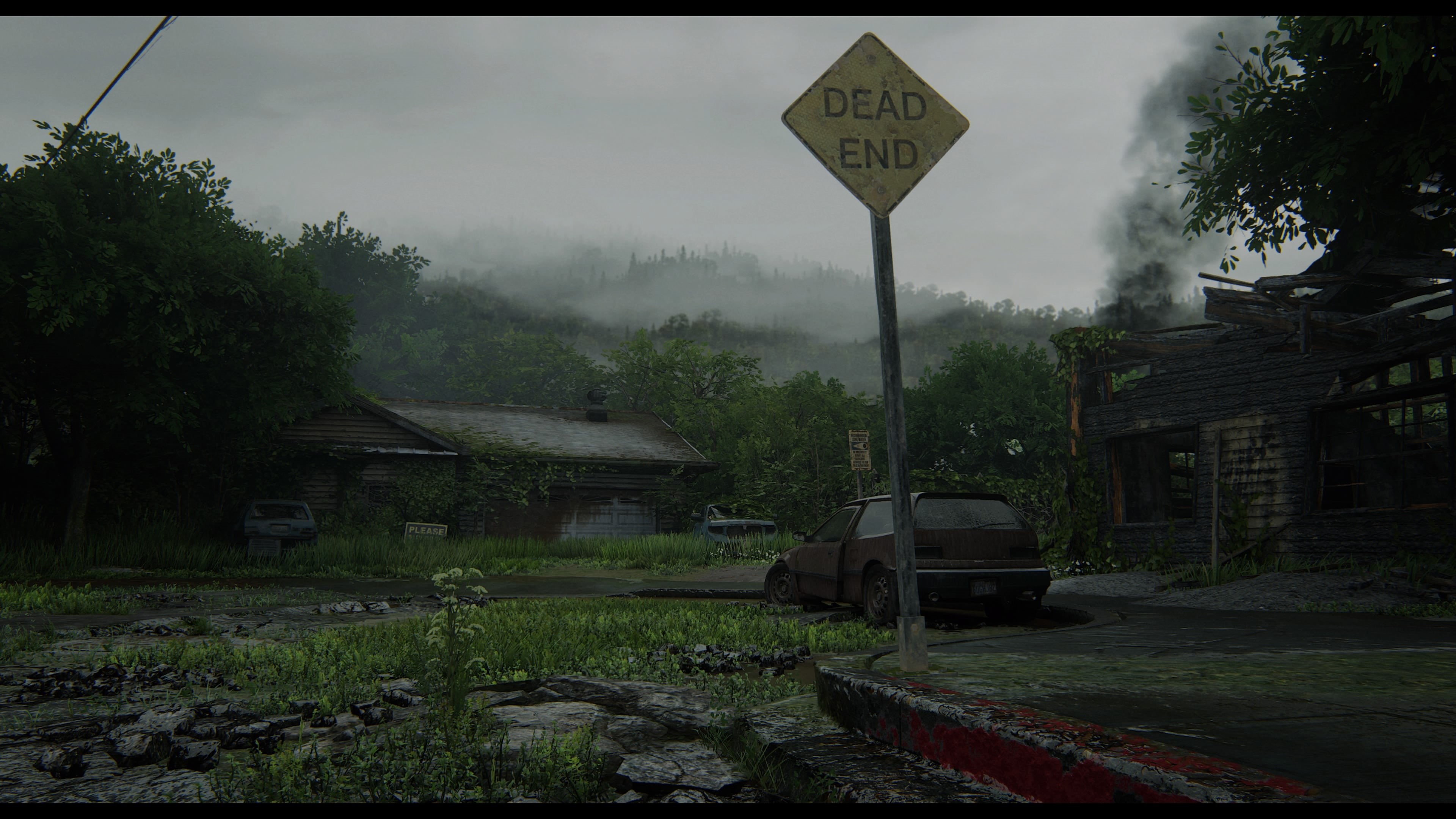 Naughty Dog, 4K, The Last of Us 2, Sony, HD Wallpaper