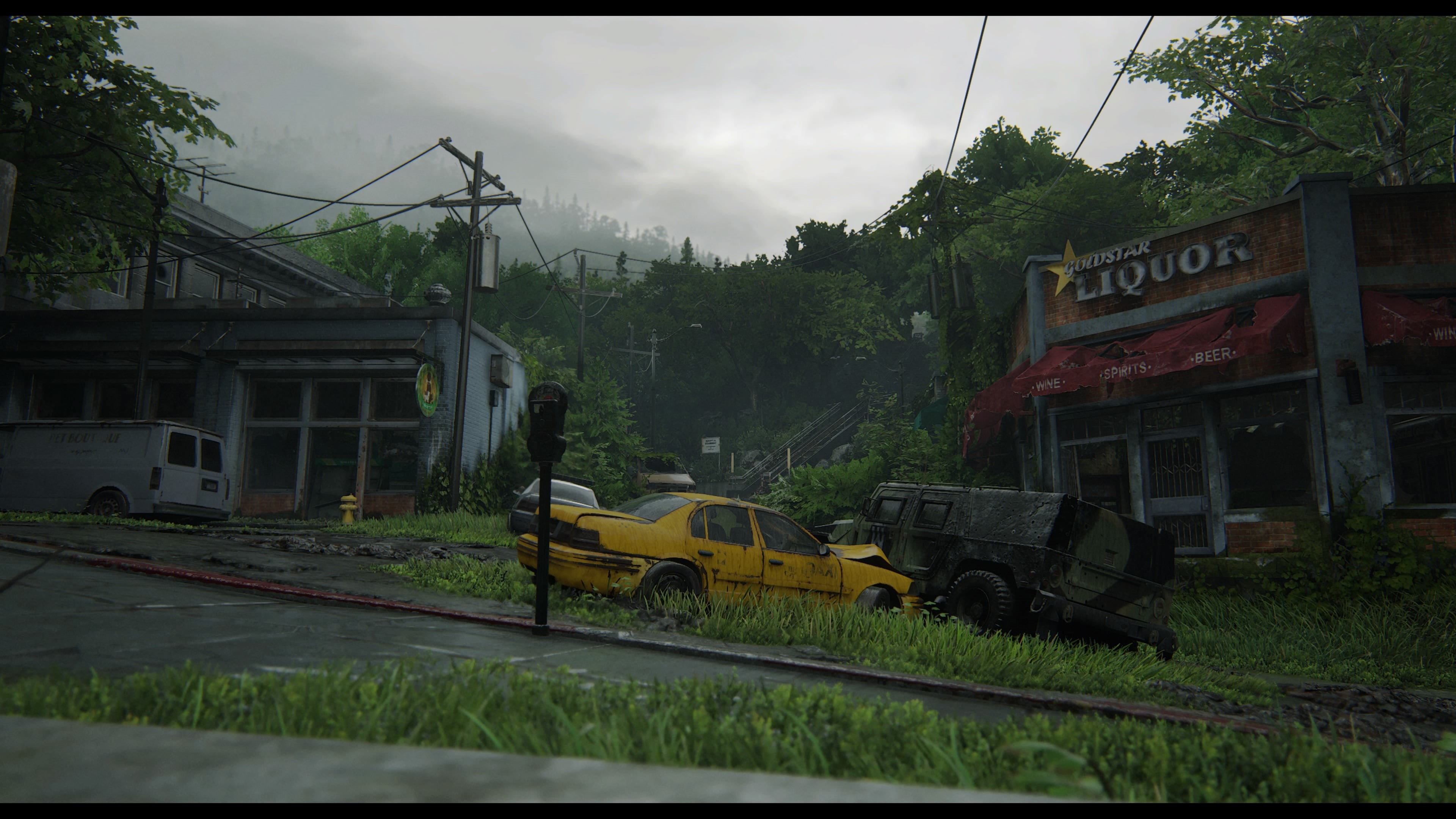 Naughty Dog, Sony, The Last of Us 2, 4K, HD Wallpaper