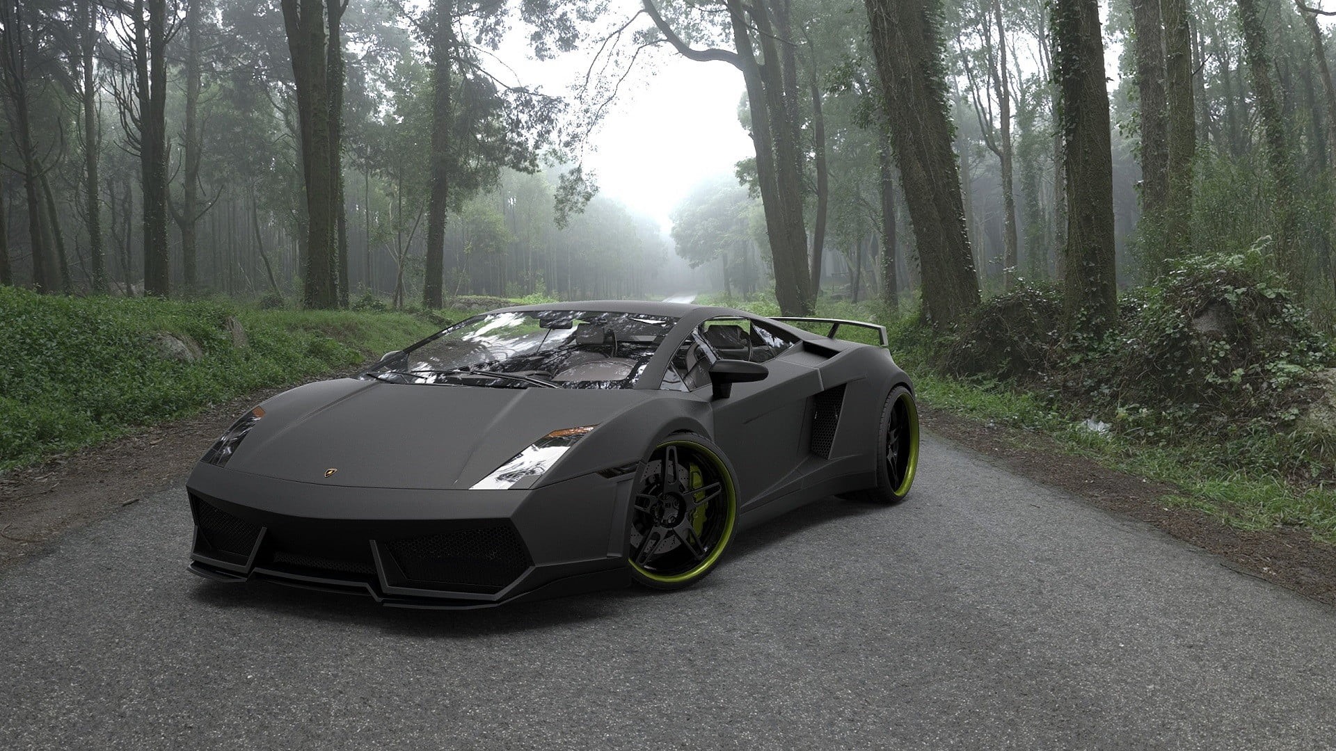 forest, mode of transportation, car, transportation, tree, plant, Lamborghini, fog, day, nature, supercar, road trip, trunk, land vehicle, black, stationary, HD Wallpaper