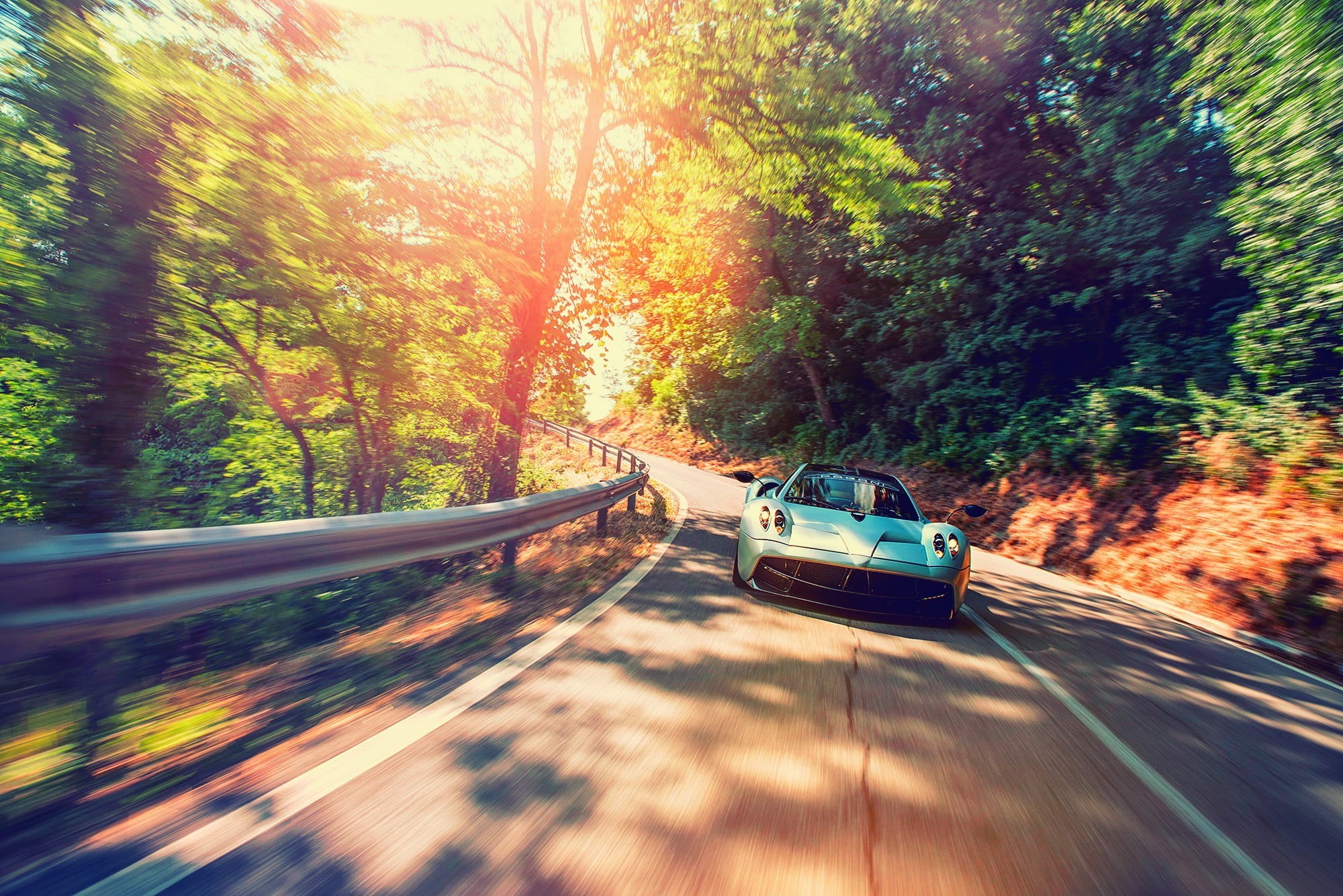 nature, day, plant, beauty in nature, Pagani Huayra, transportation, motion, motion blur, tree, land, Hypercar, mode of transportation, outdoors, Huayra, HD Wallpaper