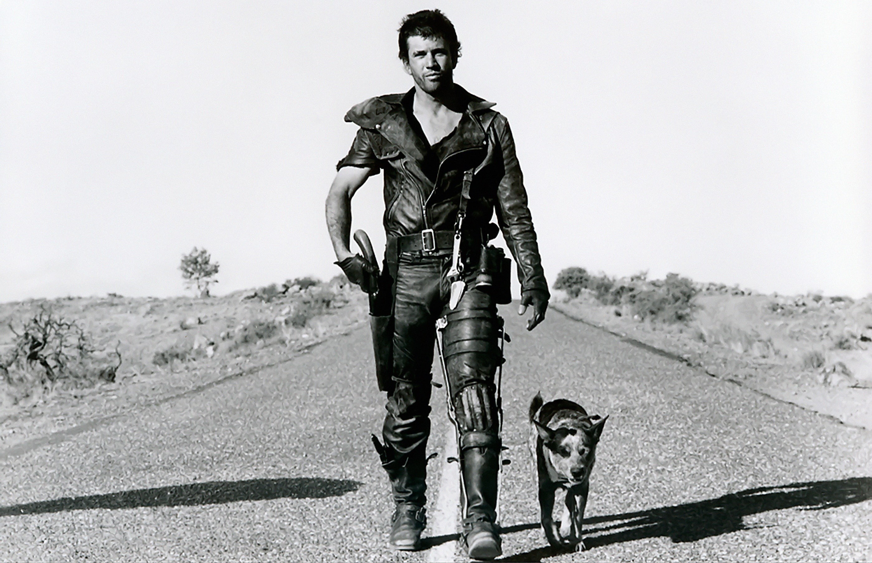 hd, x, 2K, art, gibson, animals, dogs, grayscale, mel, mad, max, Mad Max, HD Wallpaper