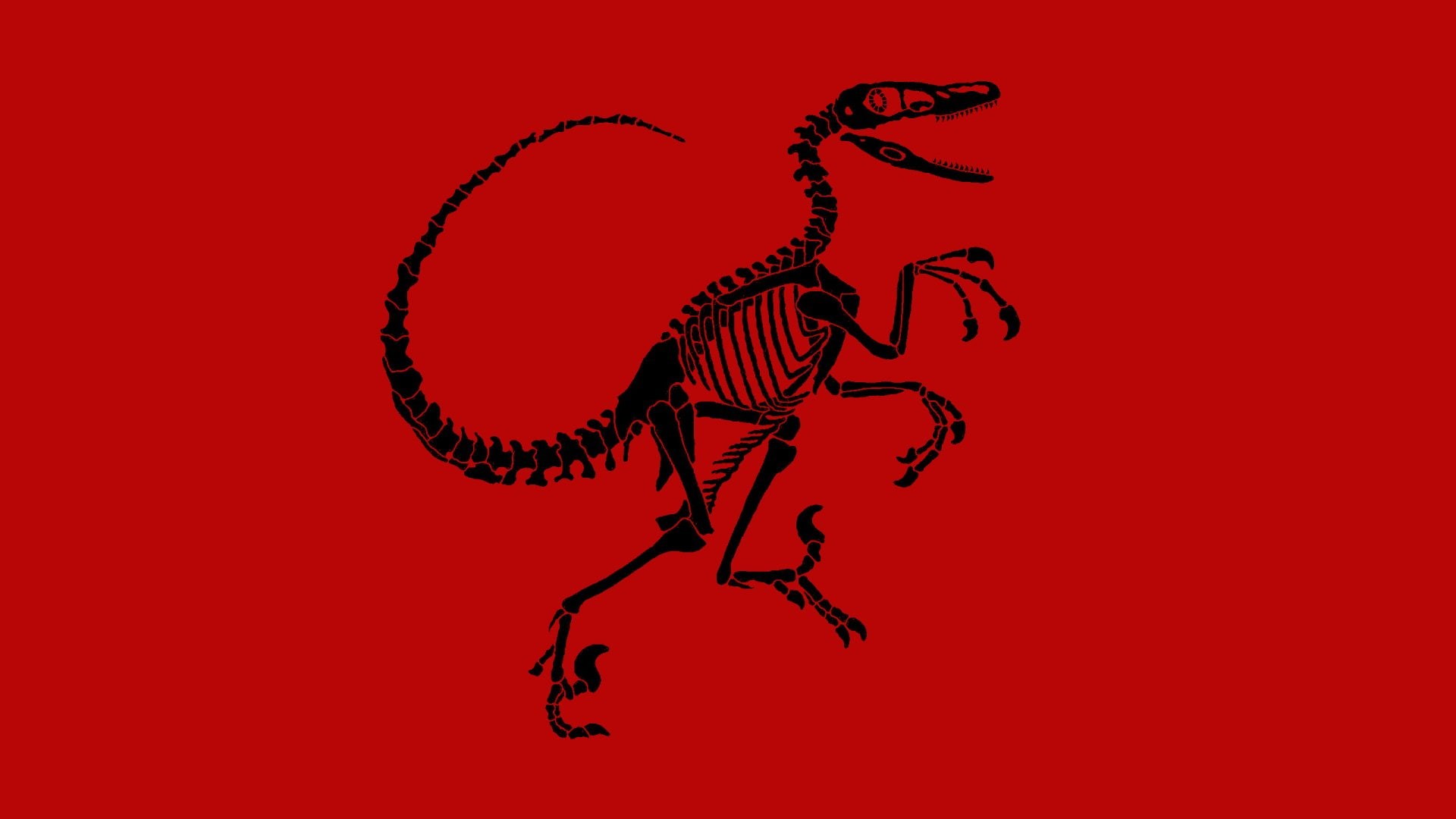 Animal, Dinosaur, 1080P, Velociraptor, HD Wallpaper