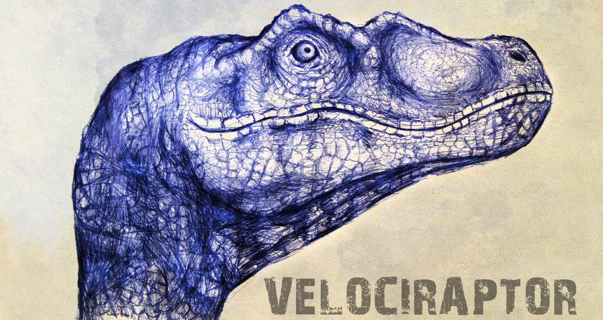 veloci, paper, wall, velociraptor, animals, raptor, 1080P, HD Wallpaper