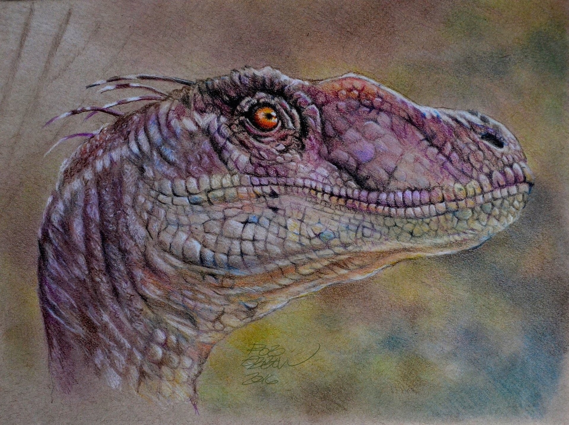 Animal, Dinosaur, Velociraptor, 1080P, HD Wallpaper