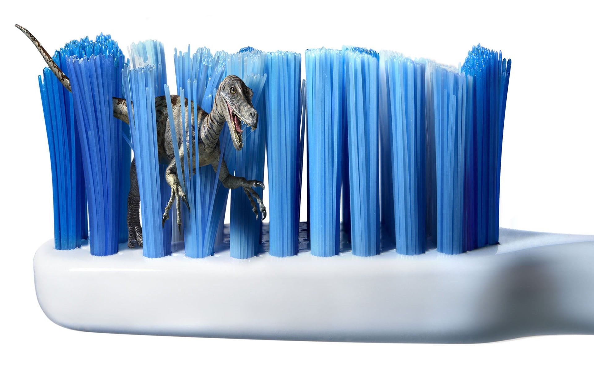 studio shot, hygiene, selective focus, cut out, no people, illustration, container, still life, healthcare and medicine, Funny, 1080P, white color, indoors, HD Wallpaper