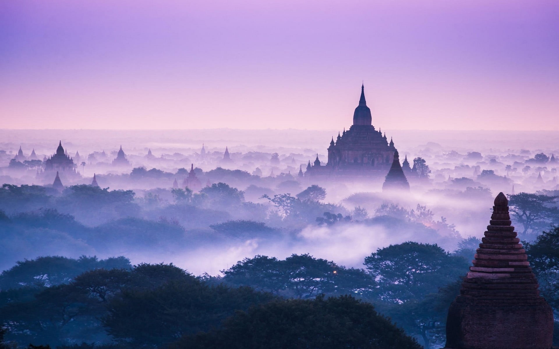 surrounded, ancient, sky, sun, outdoors, place of worship, sunset, mist, history, old building, trees, religion, fog, no people, temple, arrival, nature, HD Wallpaper