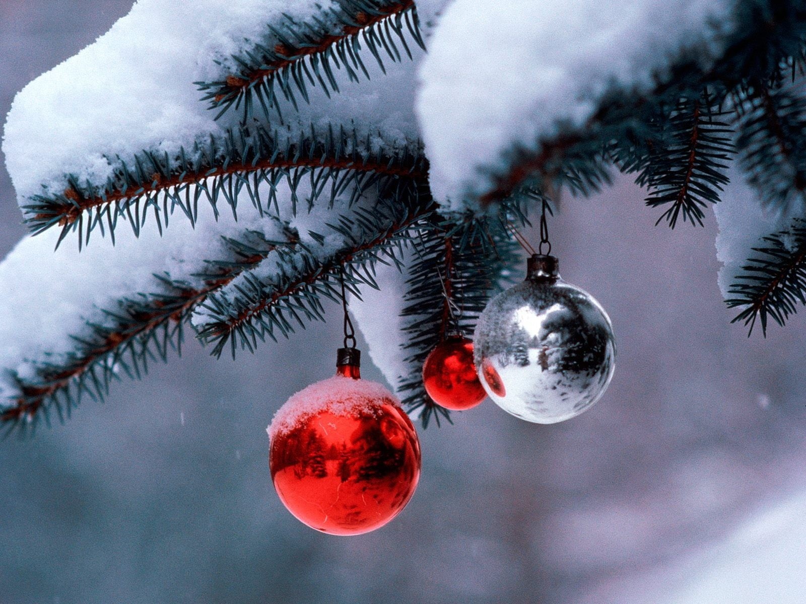 cold temperature, nature, 720P, red, celebration, decoration, christmas tree, winter, plant, outdoors, snow, christmas ornament, focus on foreground, silver, HD Wallpaper