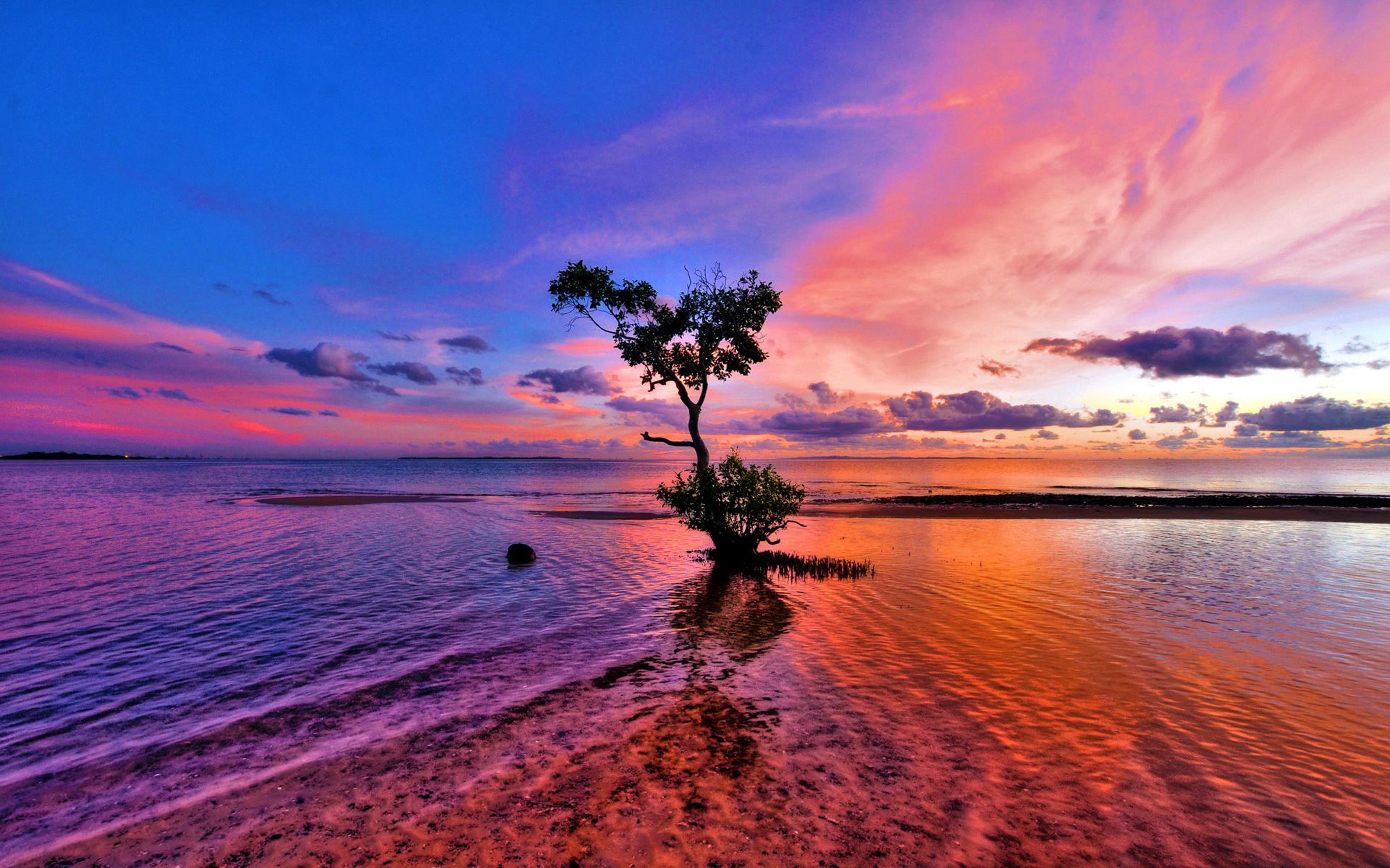 clouds, beautiful, horizon, 4K, hd, blue, red, ocean, sea, sunset, reflection, tree, HD Wallpaper