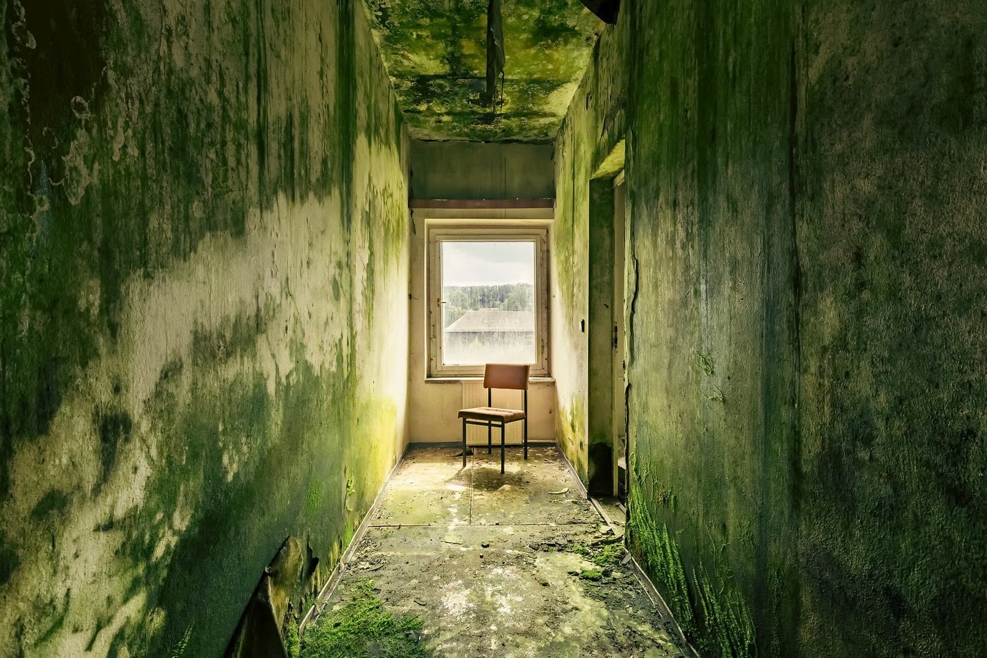 hallway, ruined, wall - building feature, wood - material, abandoned, absence, empty, architecture, deterioration, ruin, direction, wall, building, plant, HD Wallpaper
