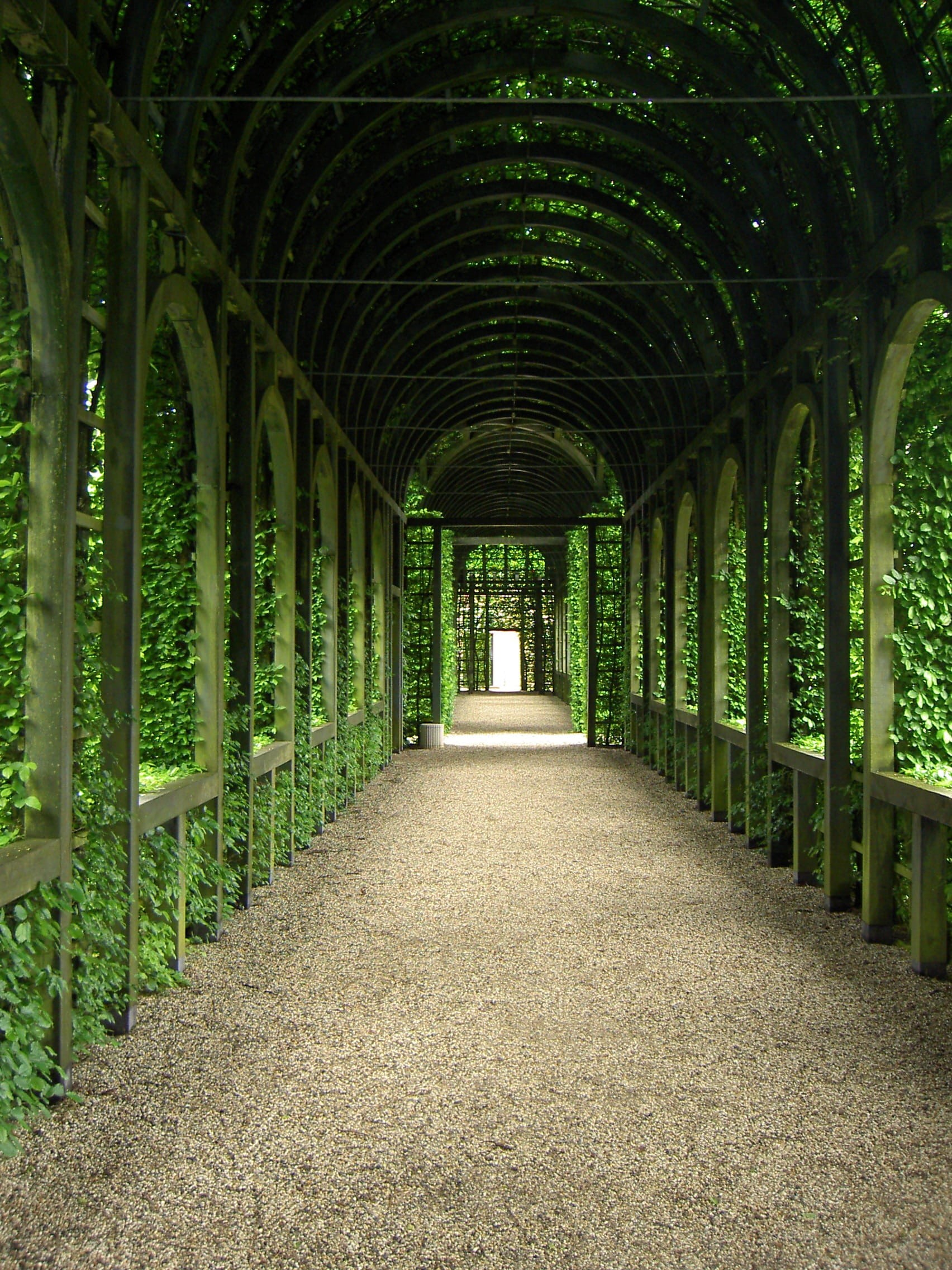 no people, green, the way forward, colonnade, arcade, corridor, garden, architecture, vanishing point, treelined, diminishing perspective, nature, footpath, Phone HD Wallpaper