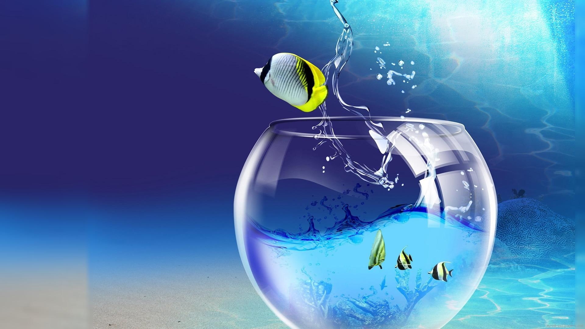 white, black, fish, escapes, animal, graphic, yellow, illustration, d, water, aquarium, 1080P, HD Wallpaper