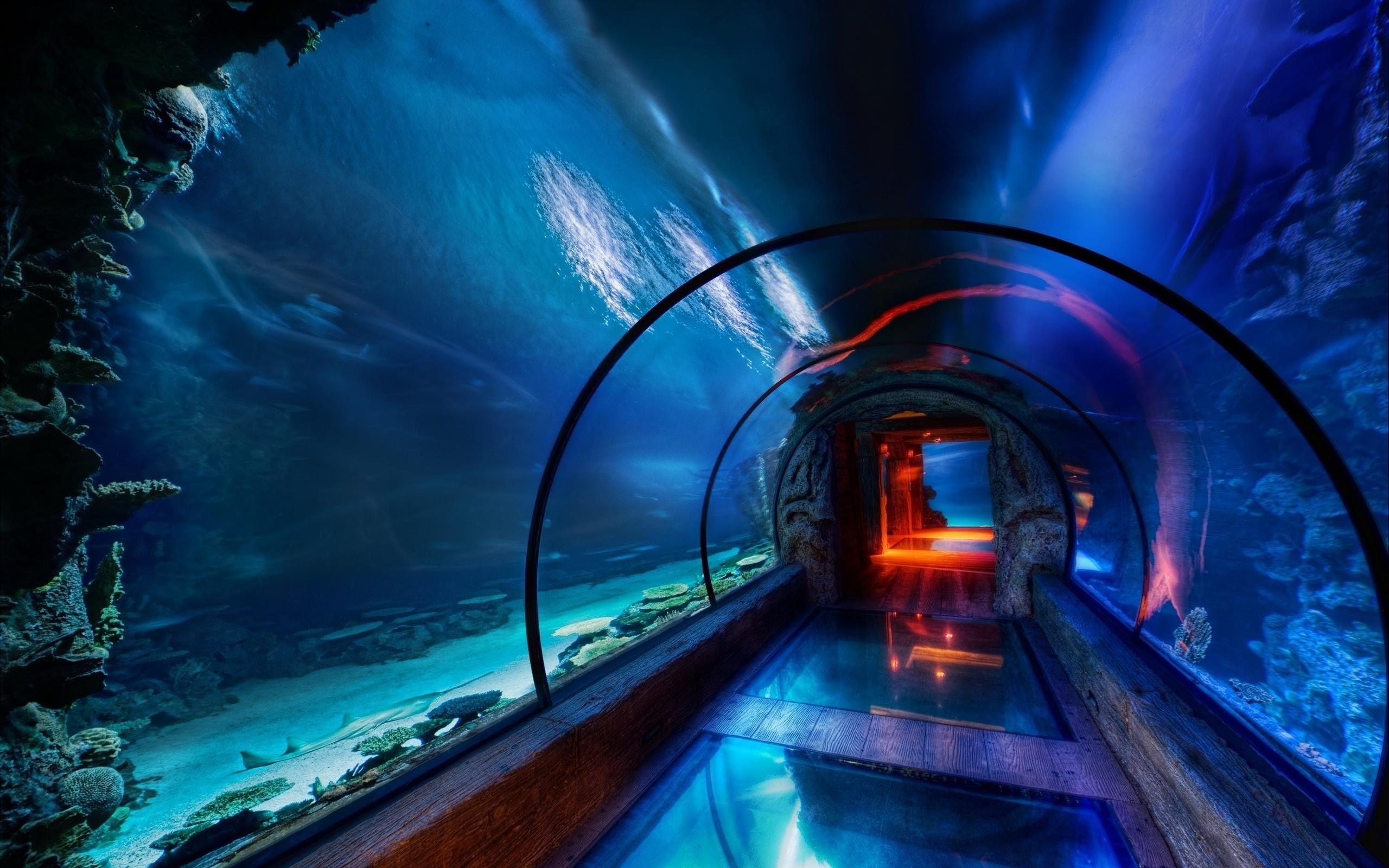 sea, tunnel, 2K, aquarium, HDR, underwater, HD Wallpaper