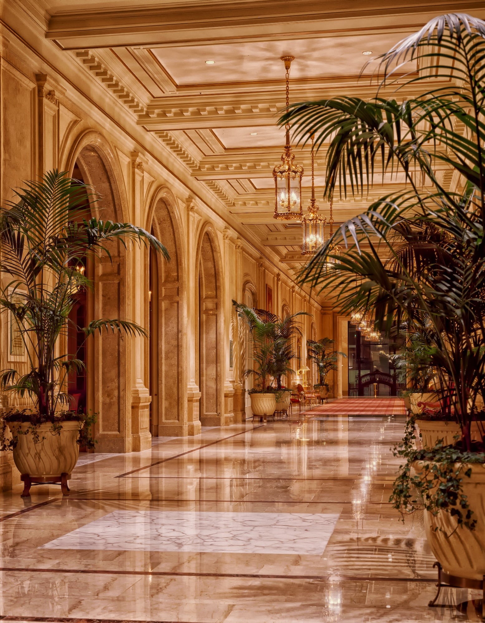 lamp, hdr, tropical climate, travel destinations, the past, lobby, plants, arch, plant, lighting, luxury, architecture, building, history, wealth, indoors, Phone HD Wallpaper