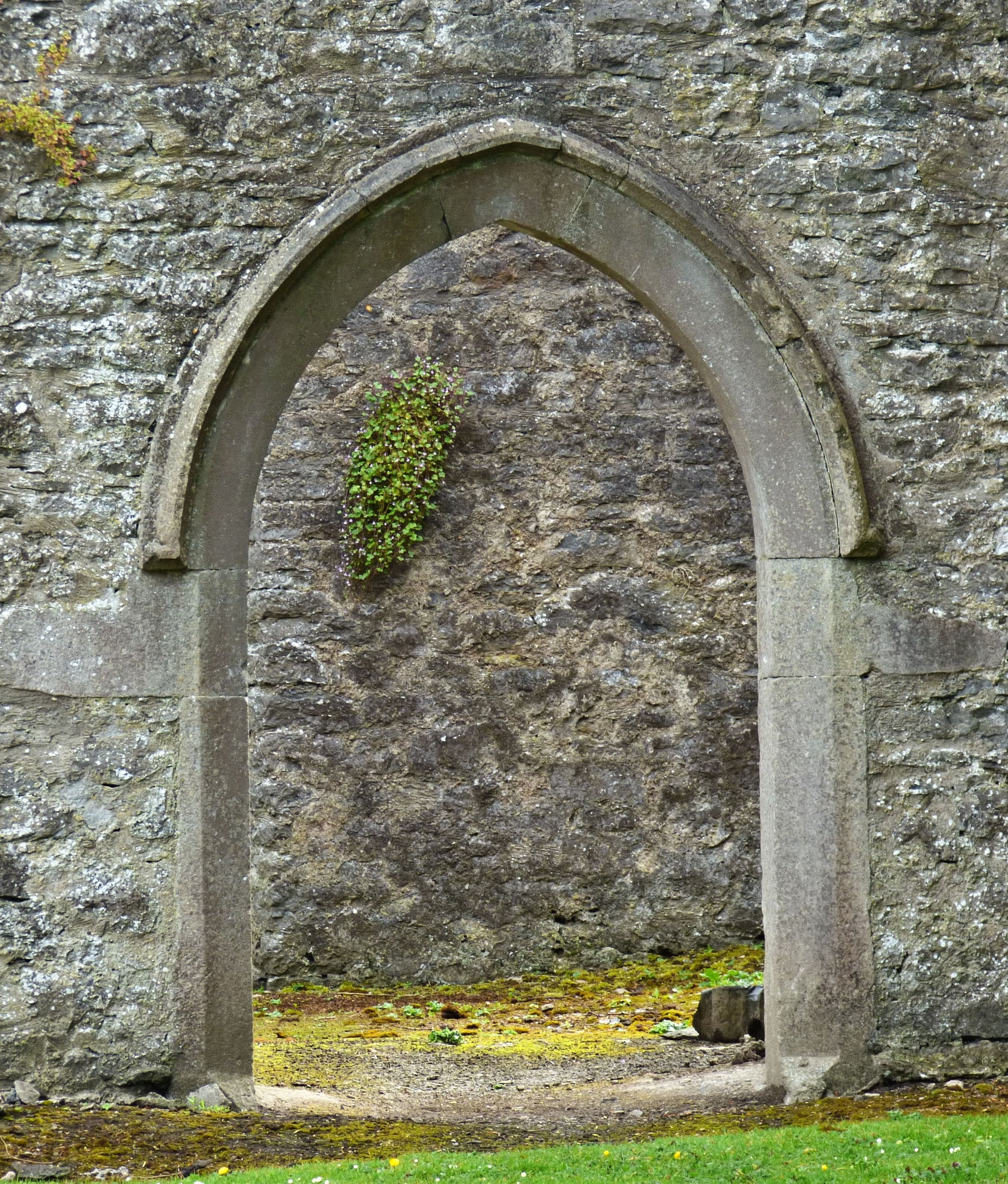 built structure, the past, outdoors, traditional, 2K, Stone, church, history, entrance, plant, wall - Building Feature, medieval, weathered, arch, arched, Phone HD Wallpaper