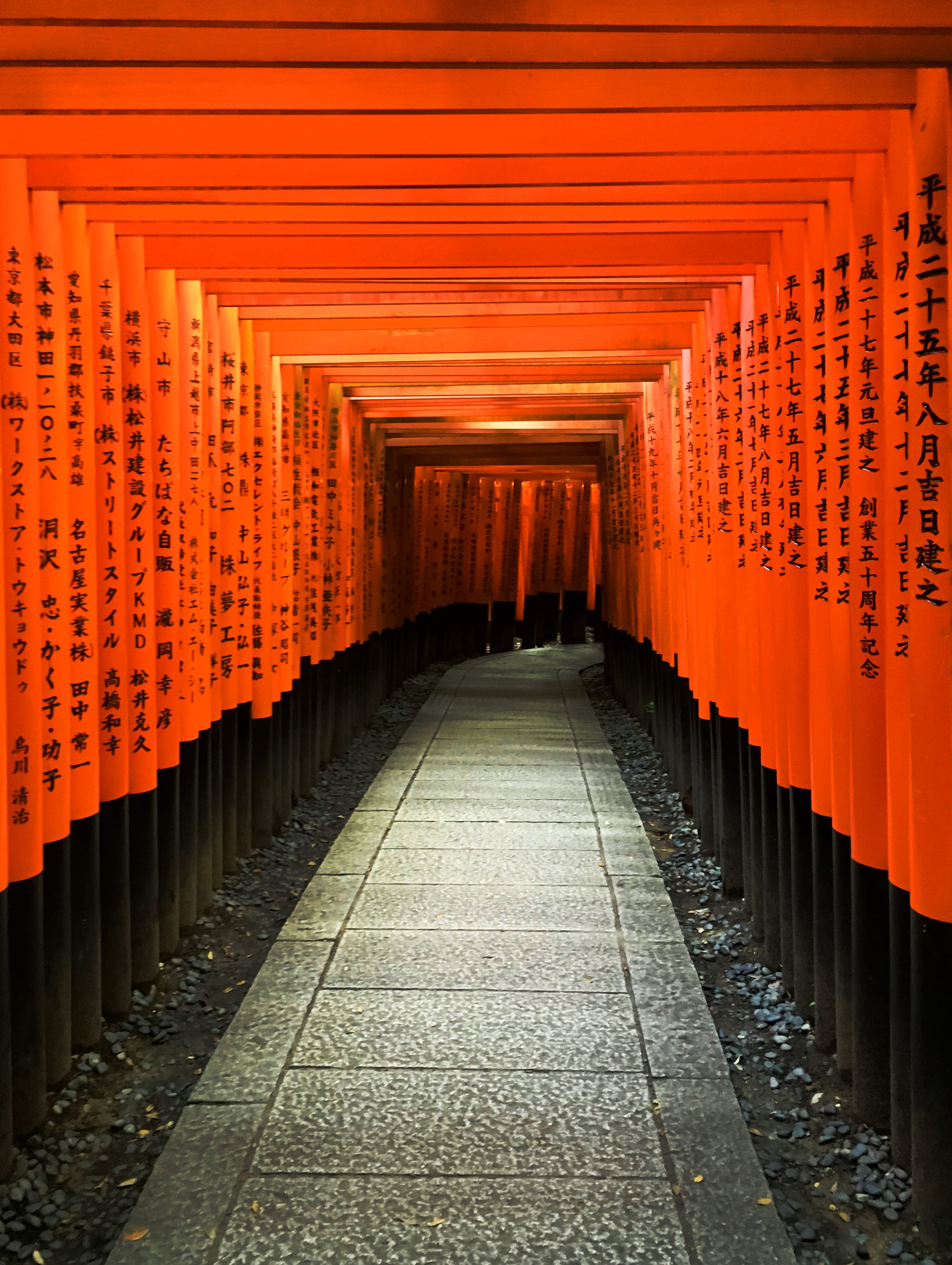 in a row, belief, footpath, japón, architecture, place of worship, the way forward, orange color, shrine, 2K, temple, architectural column, direction, Phone HD Wallpaper