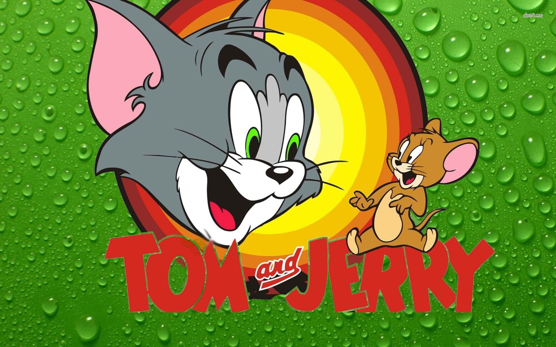 animation, mice, cat, tom, jerry, comedy, 1080P, mouse, family, cartoon, 1tomjerry, HD Wallpaper
