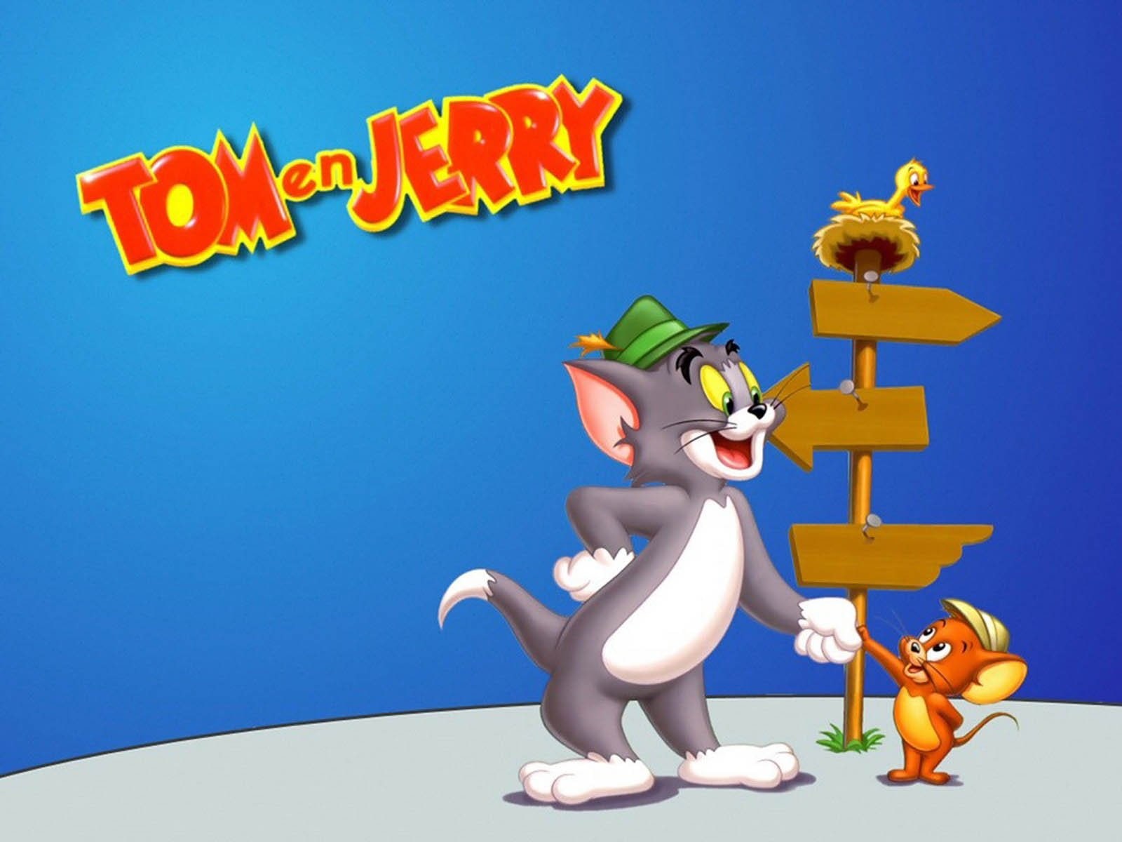 cat, comedy, cartoon, mouse, family, 720P, jerry, tom, 1tomjerry, animation, mice, HD Wallpaper
