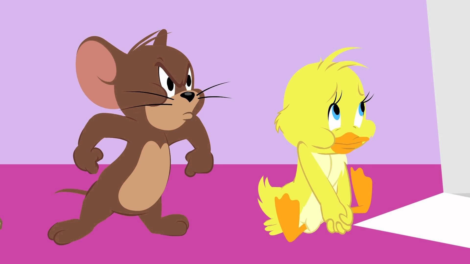tom, cat, mice, jerry, mouse, animation, 1tomjerry, family, comedy, 1080P, cartoon, HD Wallpaper