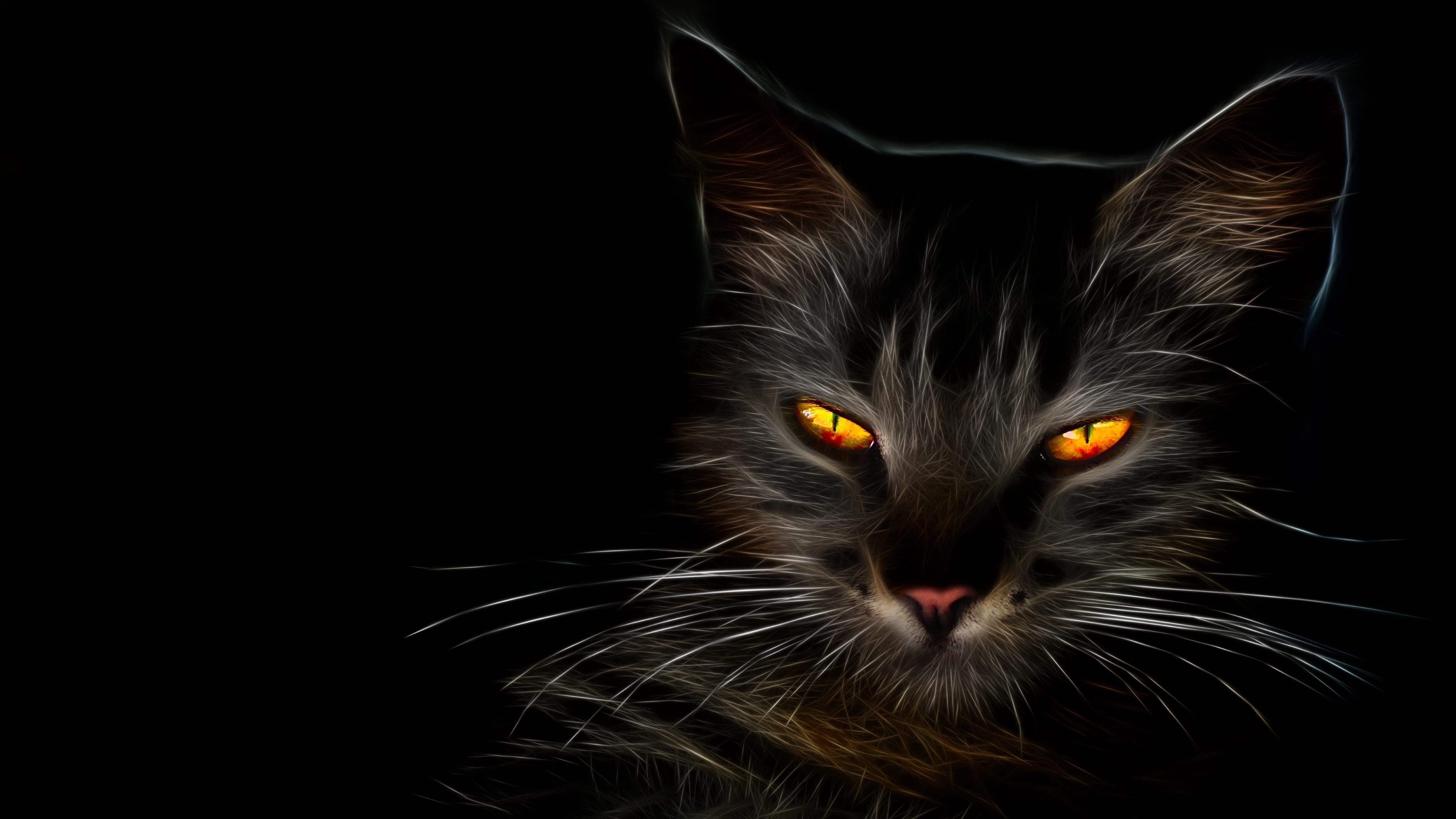 5K, dark, whiskers, cat eyes, cat, kitten, darkness, HD Wallpaper