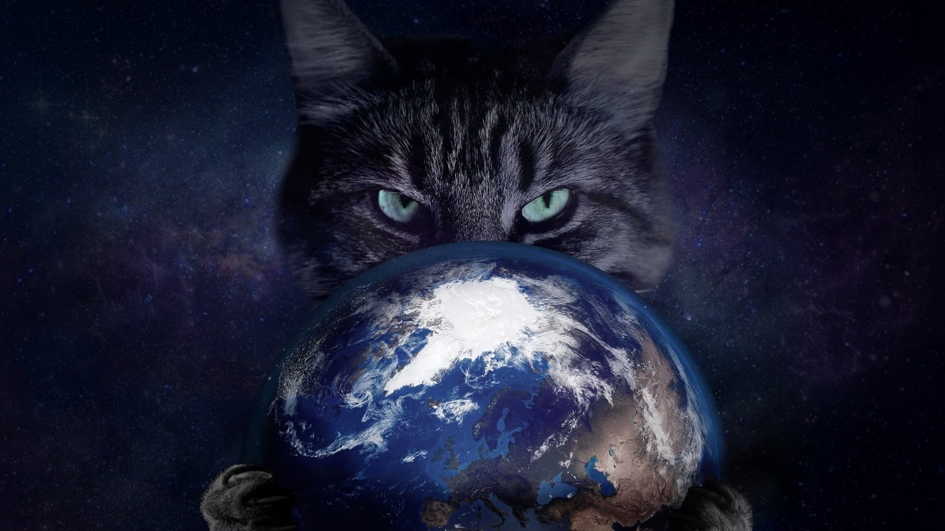 portrait, feline, domestic animals, one animal, space, domestic cat, cat, whisker, nature, mammal, Earth, sphere, 1080P, pets, sky, people, indoors, astronomy, HD Wallpaper