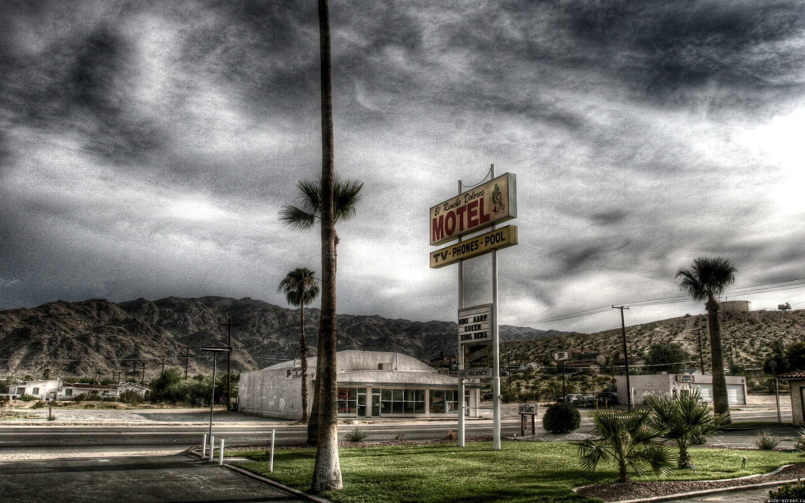 tree, day, sky, western script, text, architecture, transportation, HDR, 2K, road sign, information, outdoors, overcast, cityscape, palm trees, sign, plant, HD Wallpaper