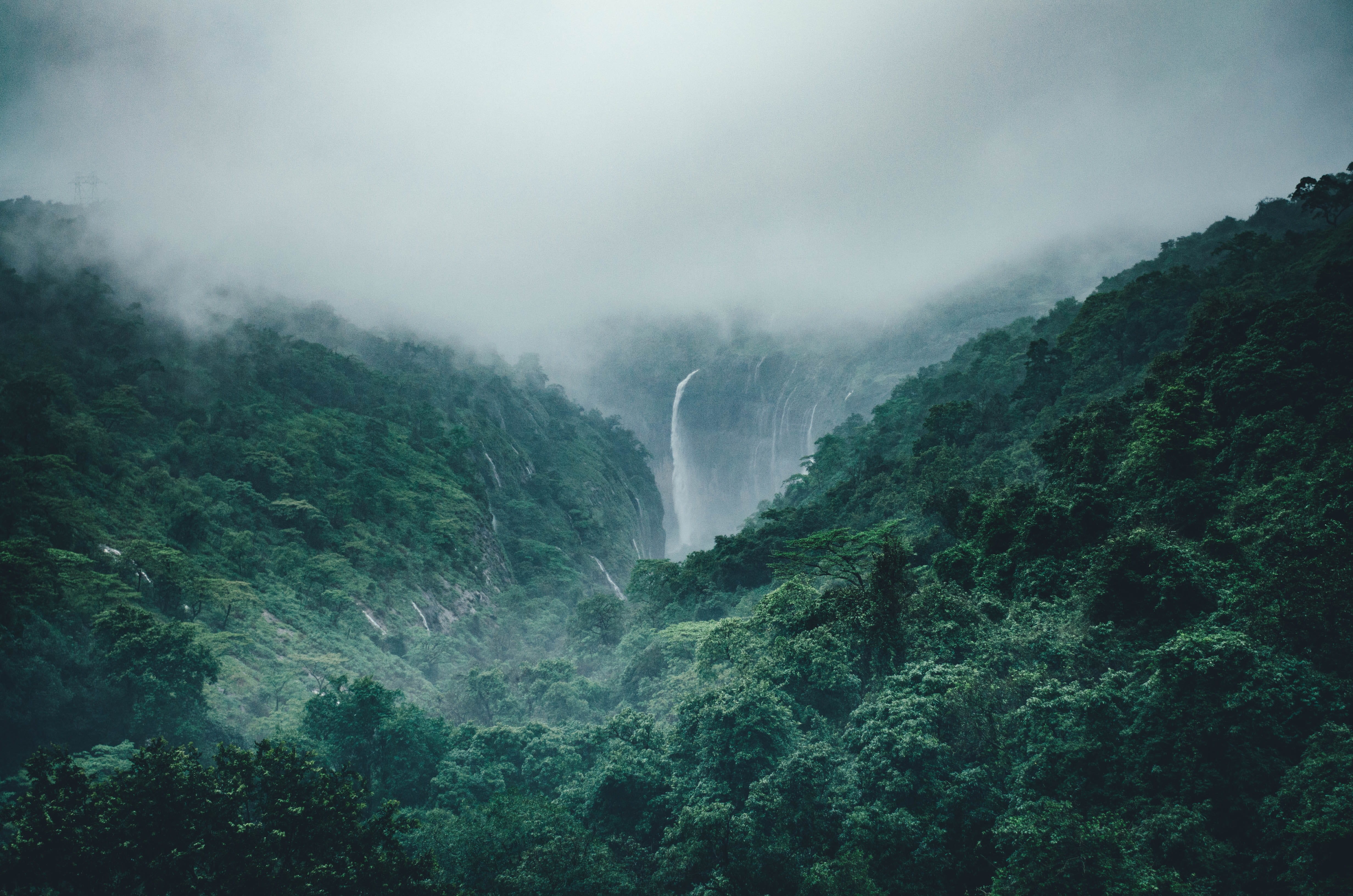 fog, power in nature, peaceful, power, trees, waterfall, land, height, vertigo, long exposure, escape, environment, nature, wanderlust, motion, elevation, HD Wallpaper
