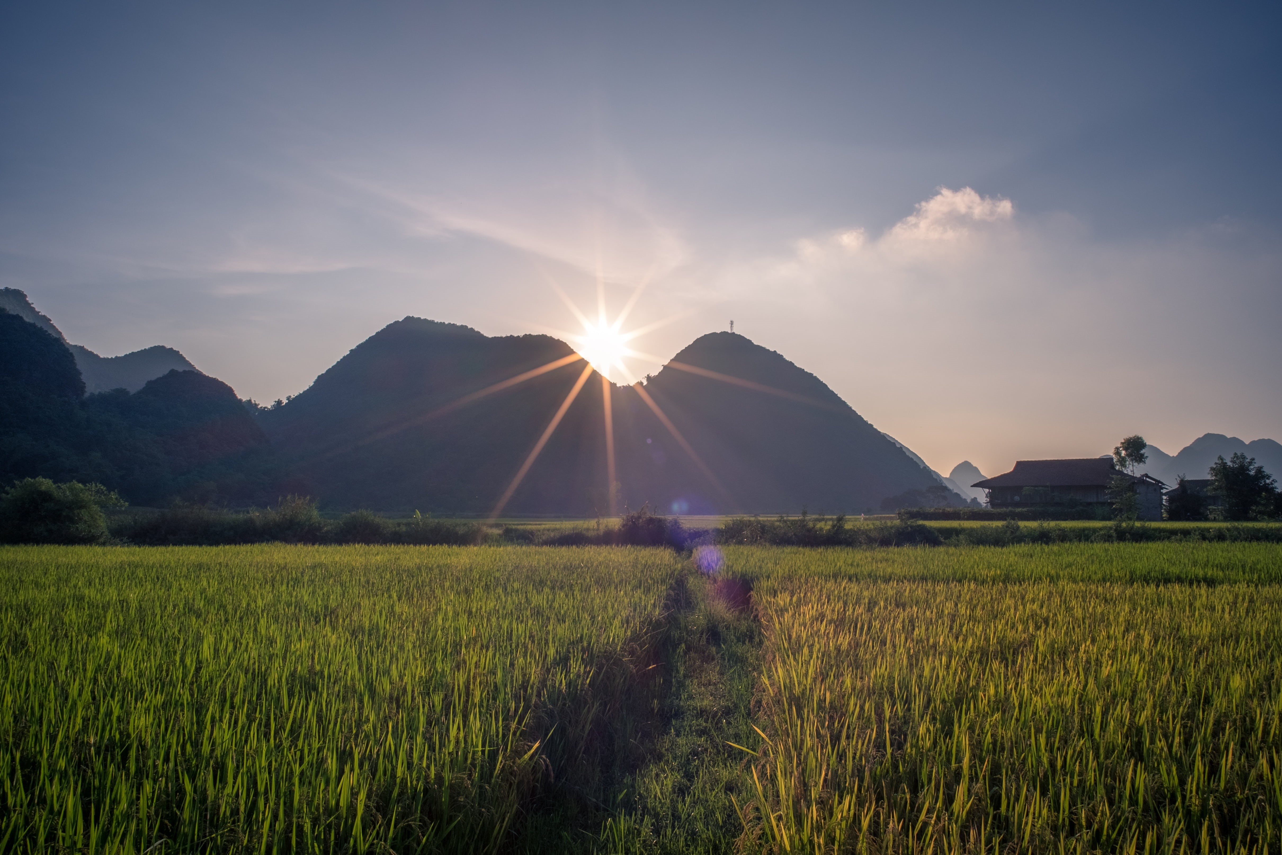 tranquility, environment, farmer, meadow, tranquil scene, sun, scenics - nature, grass, asia, growth, scenery, summer, lang son, sa pa, sunlight, sunbeam, HD Wallpaper