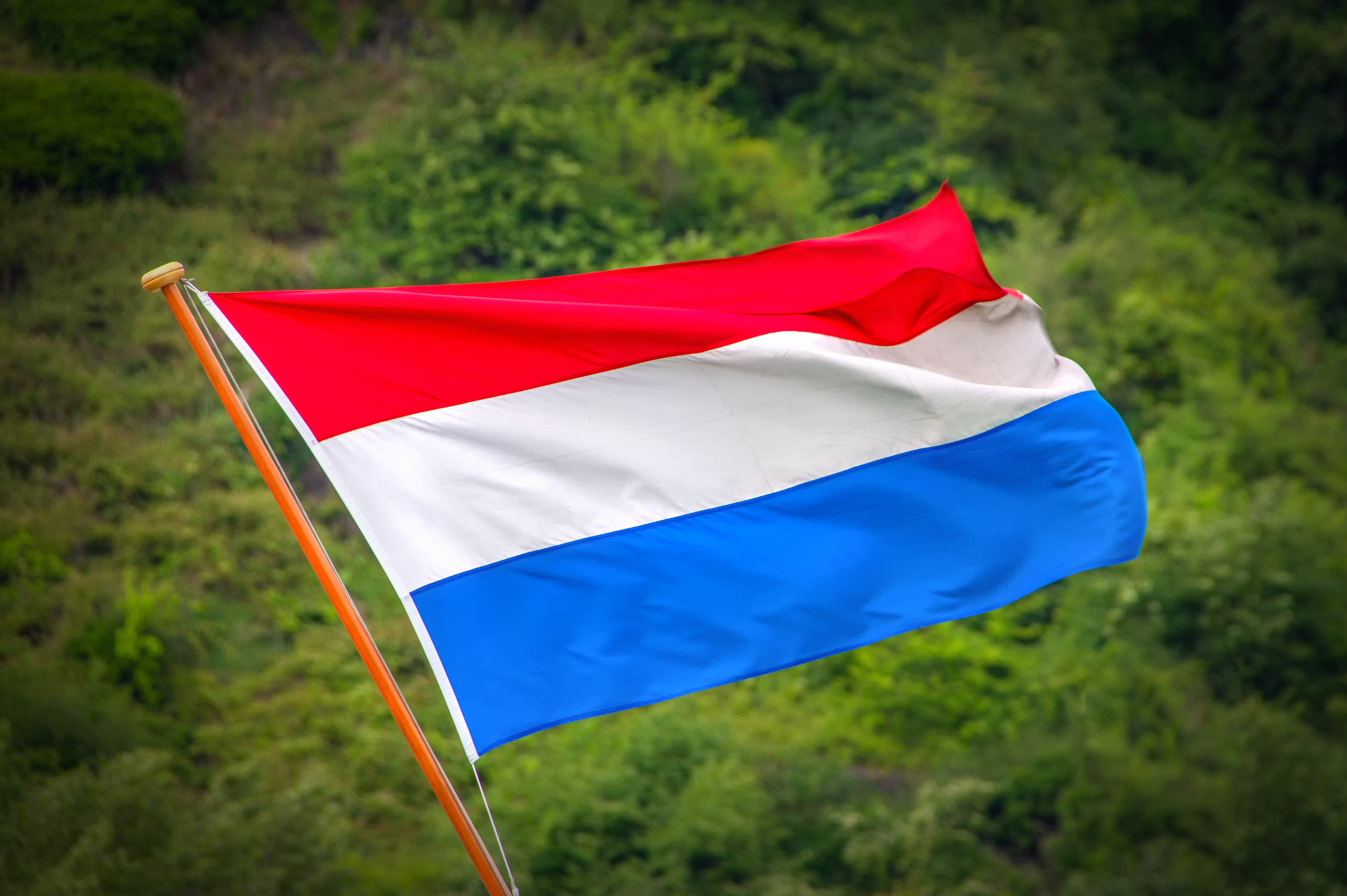 patriotism, freedom, plant, netherlands, white, symbols, 4K, mast, holland, grass, emotion, european, banner, contour, symbol, flutter, eu, outdoors, europe, HD Wallpaper
