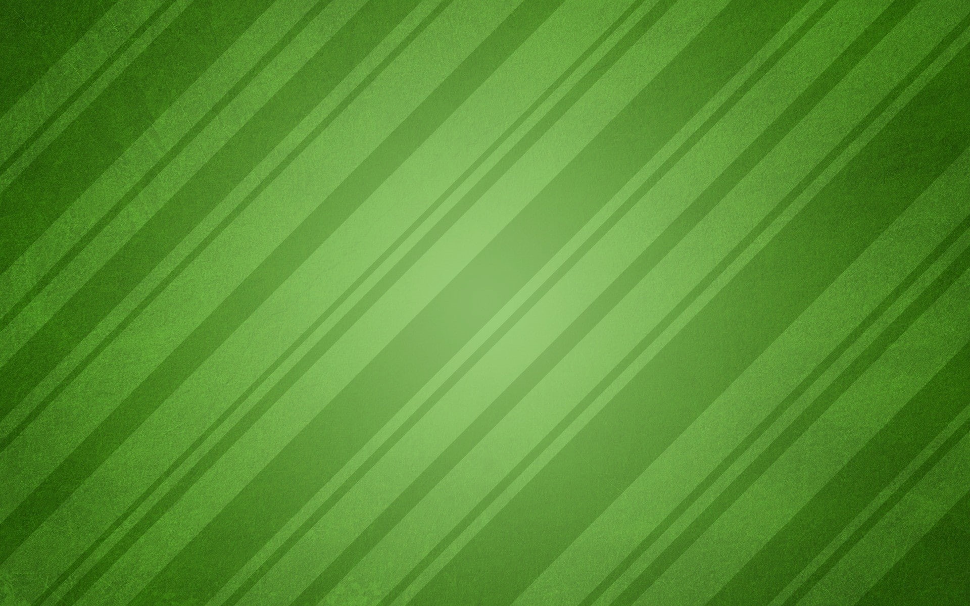 frond, abstract, full frame, Band, natural pattern, backgrounds, Line, striped, no people, leaves, tropical climate, Obliquely, leaf, beauty in nature, HD Wallpaper