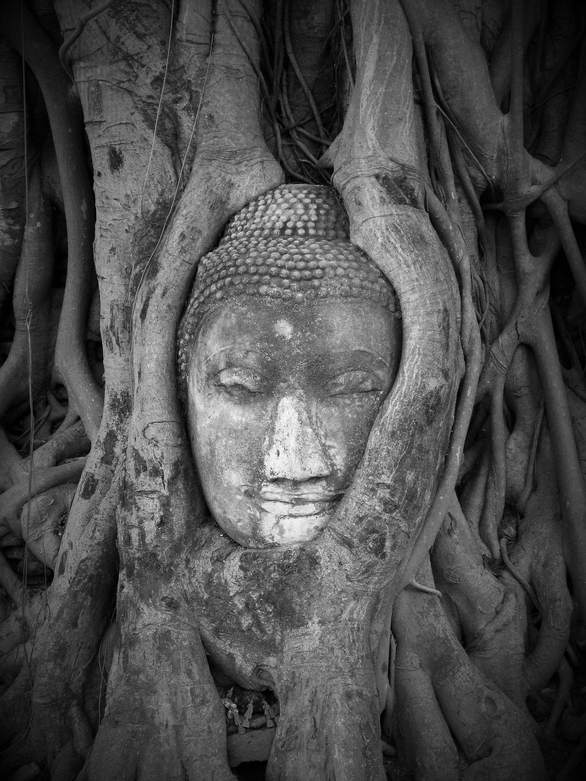 close-up, religious belief, human representation, 2K, tree trunk, art, no people, belief, root, craft, ruins, creativity, art and craft, plant, photo, Phone HD Wallpaper